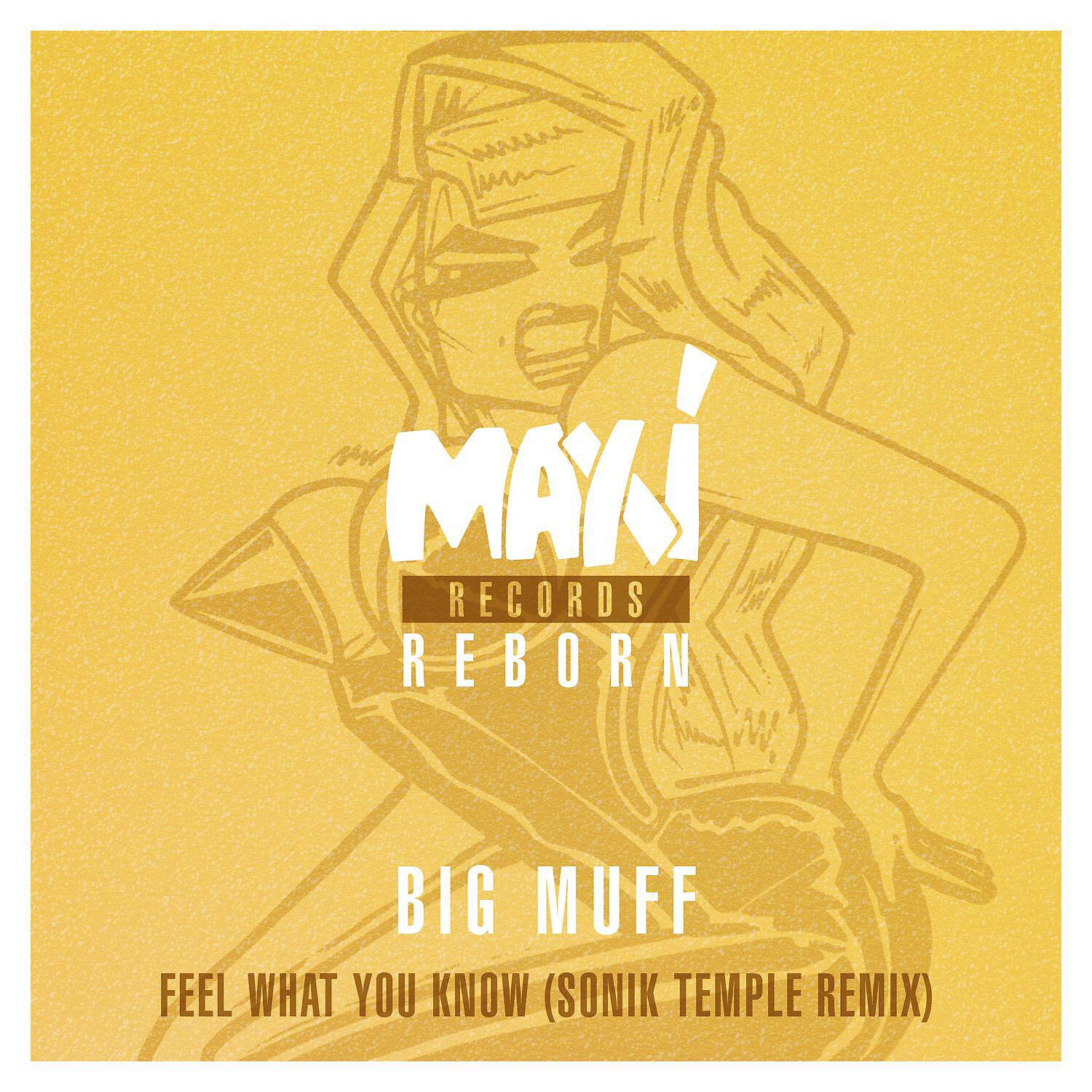 Big Muff - Feel What You Know (feat. Lisa Shaw) [Sonik Temple Remix]