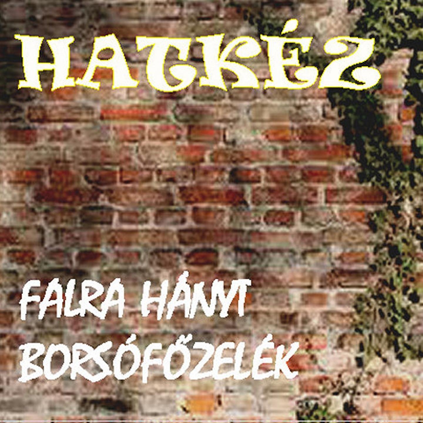 Постер альбома Falra Hányt Borsófőzelék