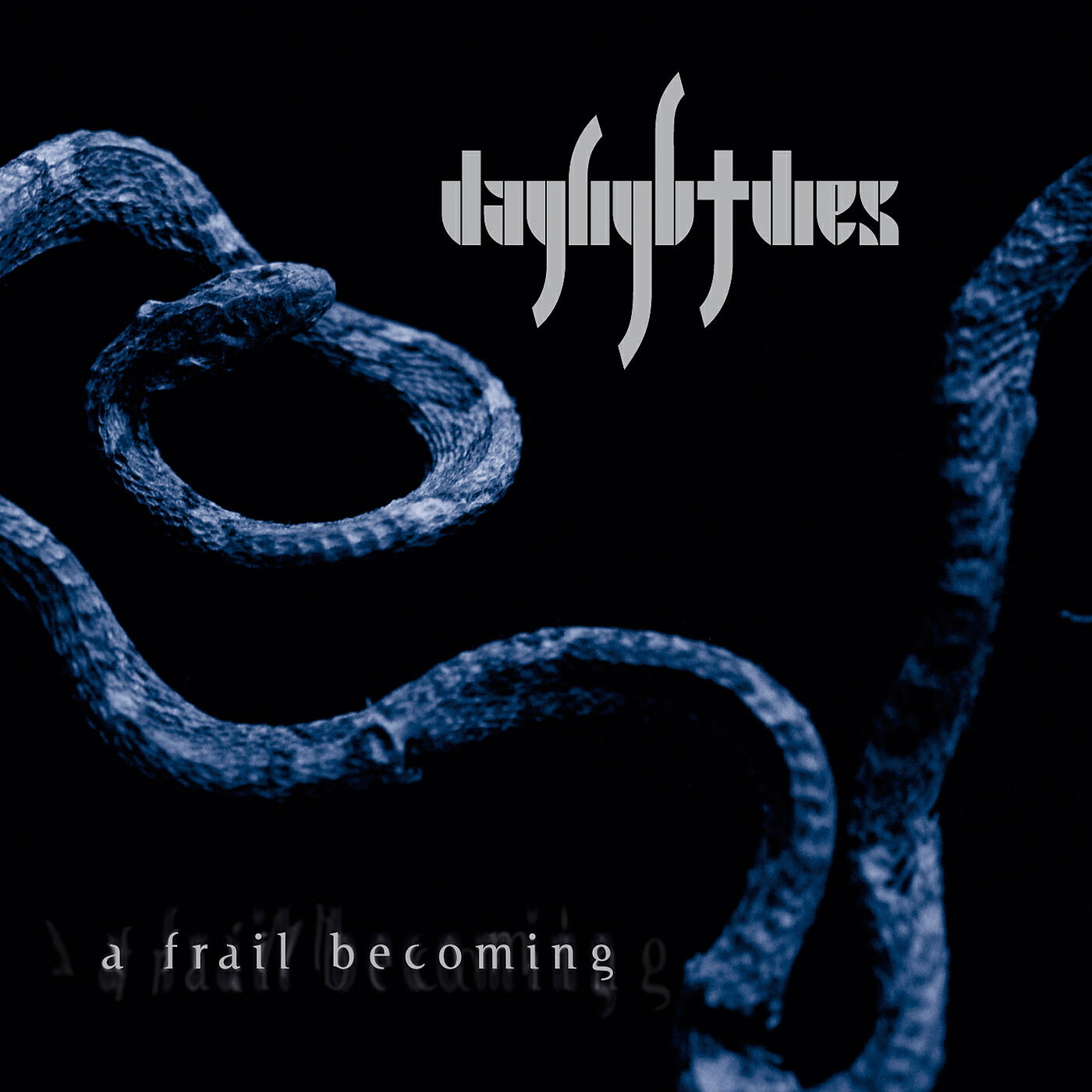 Daylight Dies - An Heir To Emptiness