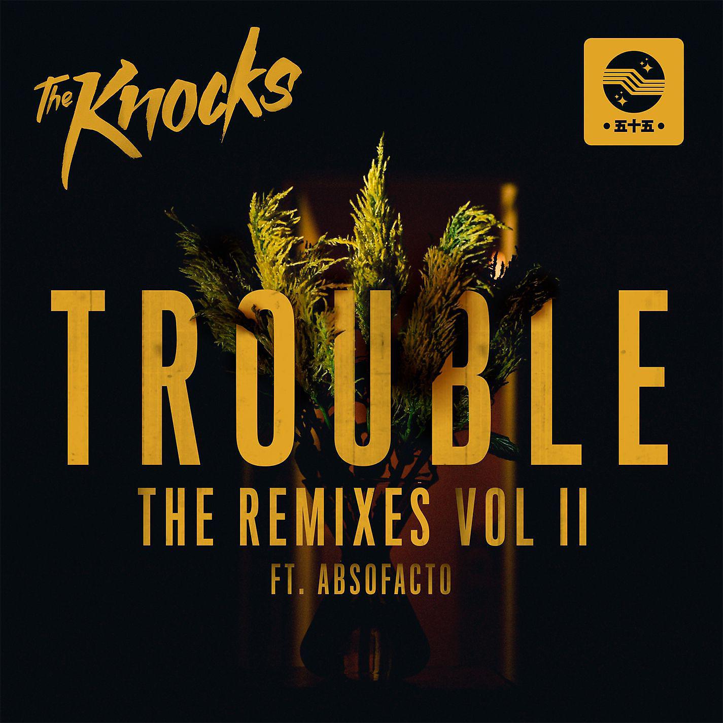 Постер альбома TROUBLE (feat. Absofacto) [The Remixes Part II]
