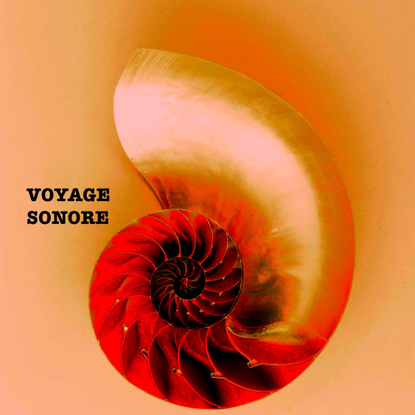Постер альбома Voyage Sonore