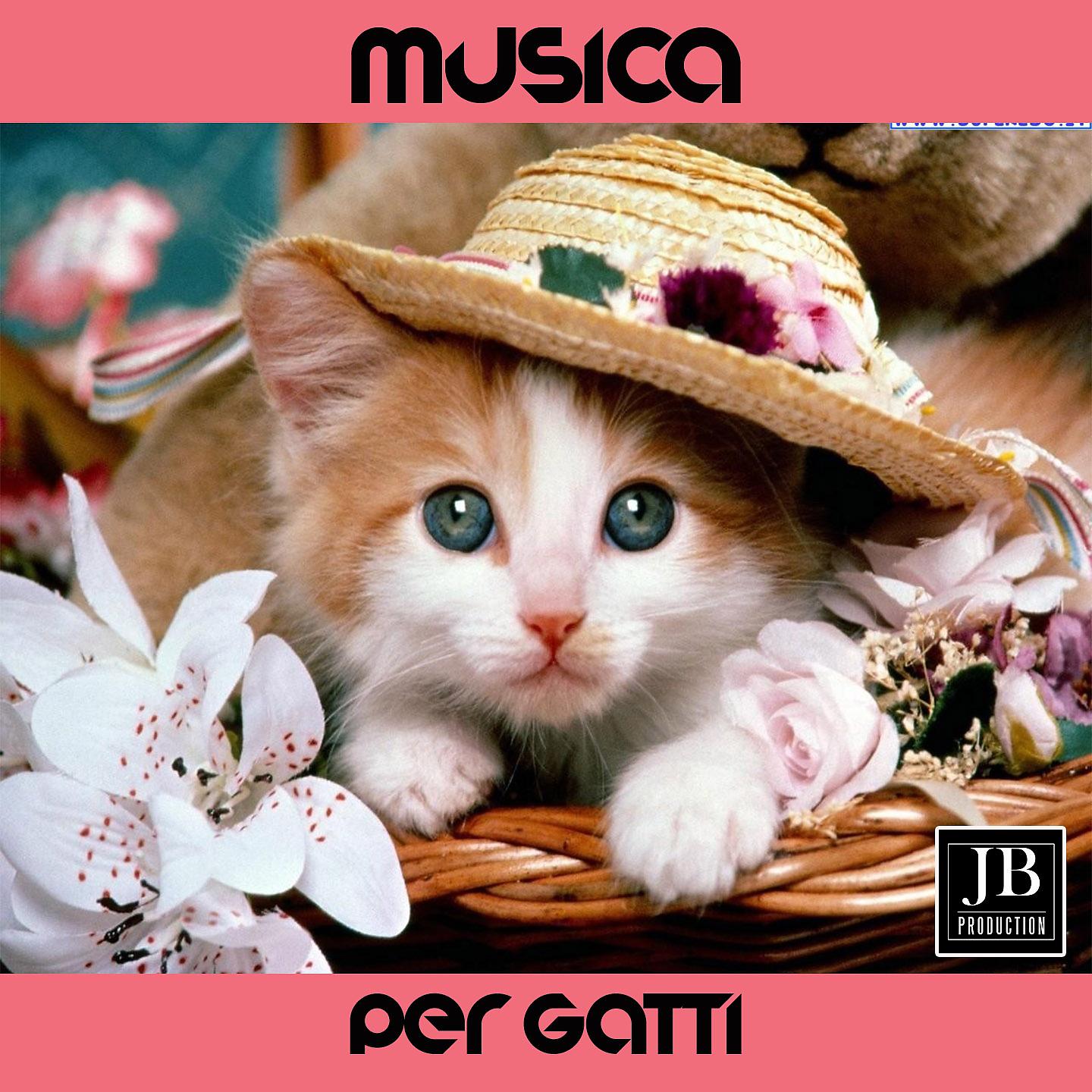 Постер альбома Musica Per Gatti
