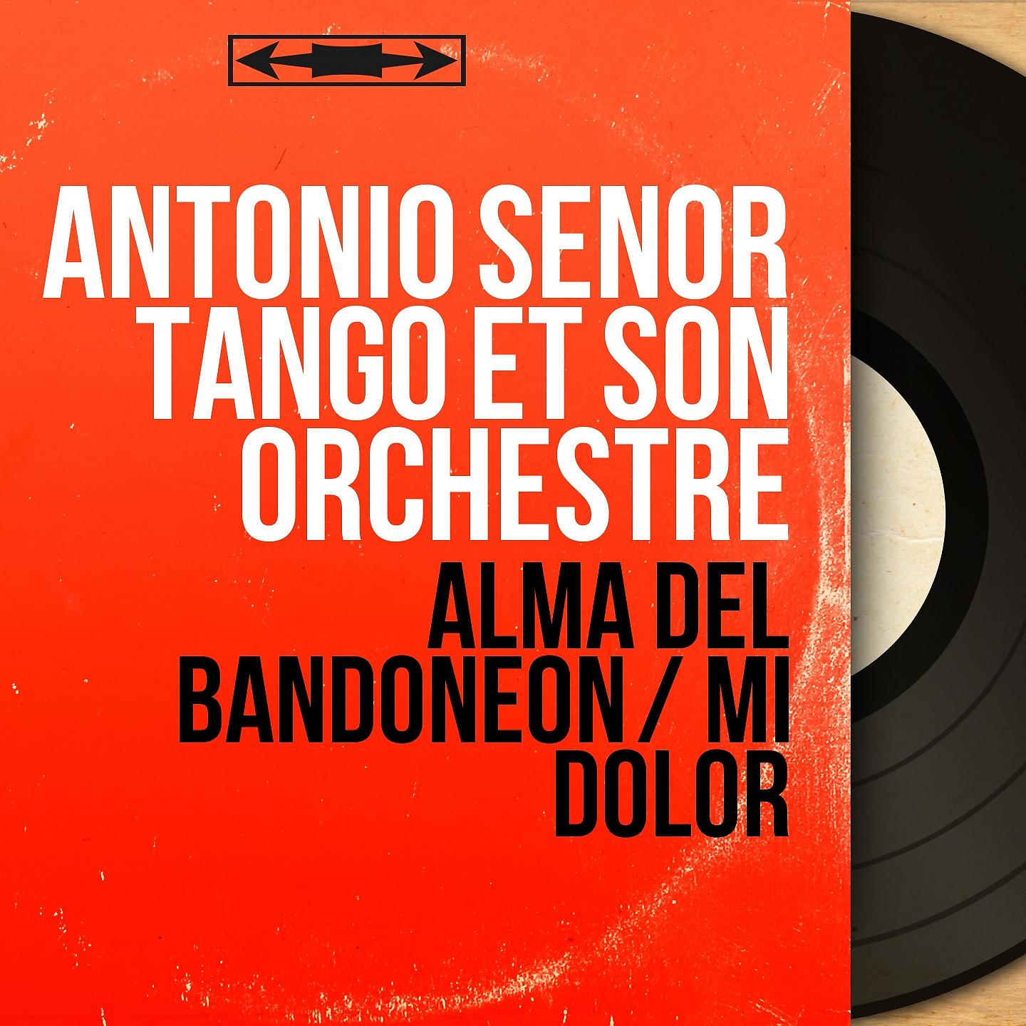 Постер альбома Alma del Bandoneón / Mi Dolor