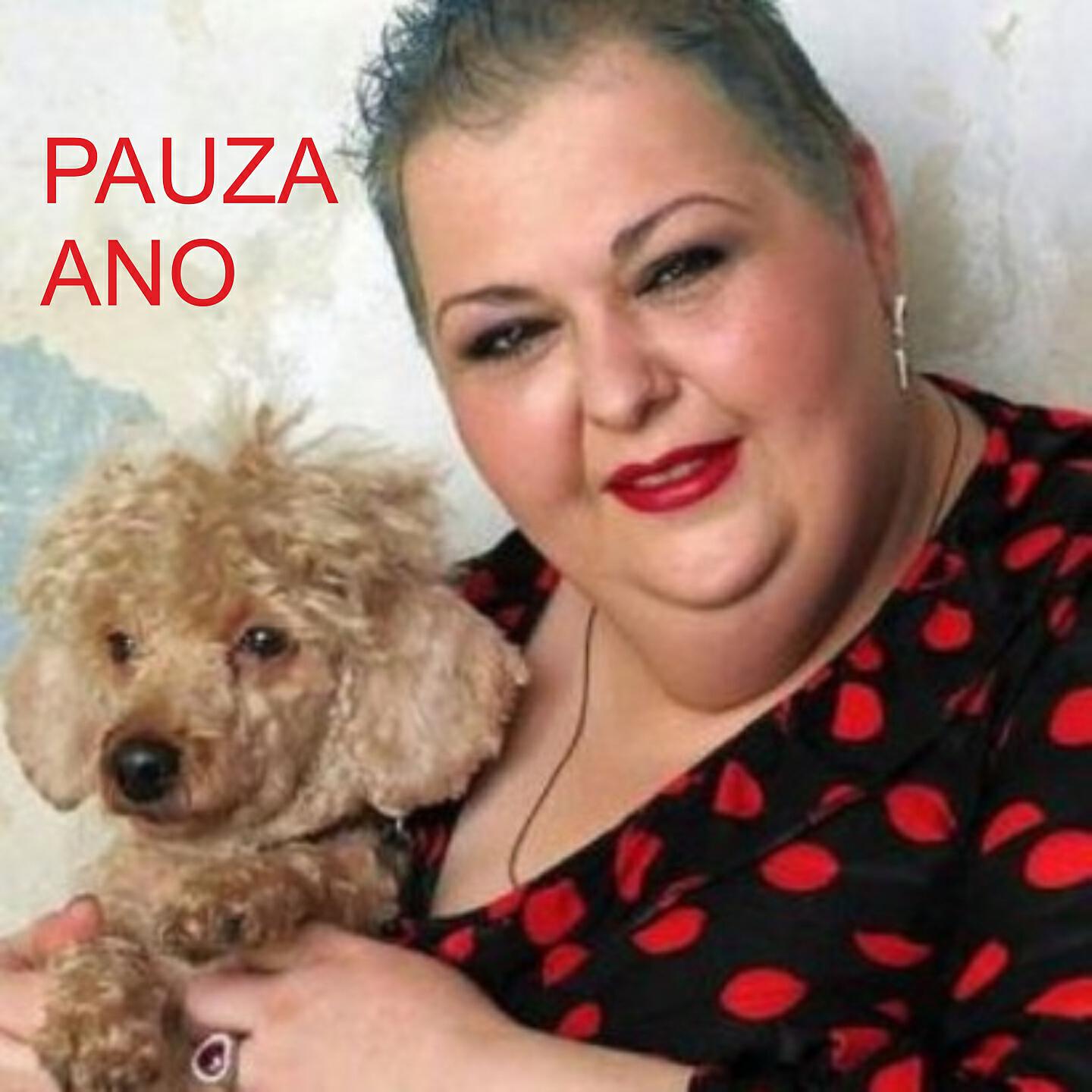 Pauza Ano - Akh Milica