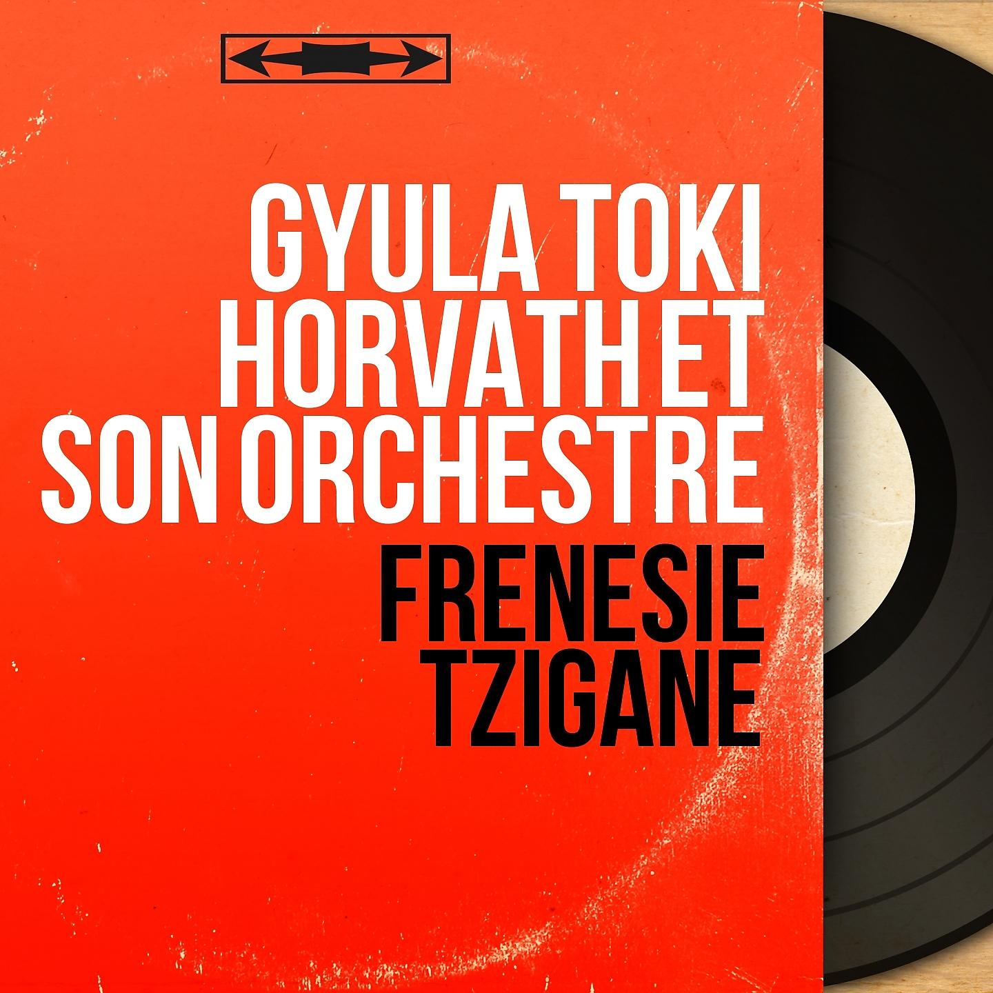 Постер альбома Frénésie tzigane