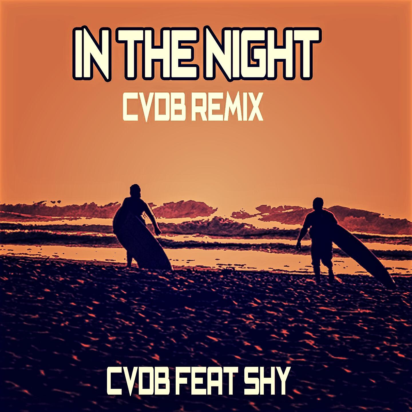 CVDB - In the Night (Cvdb Remix)