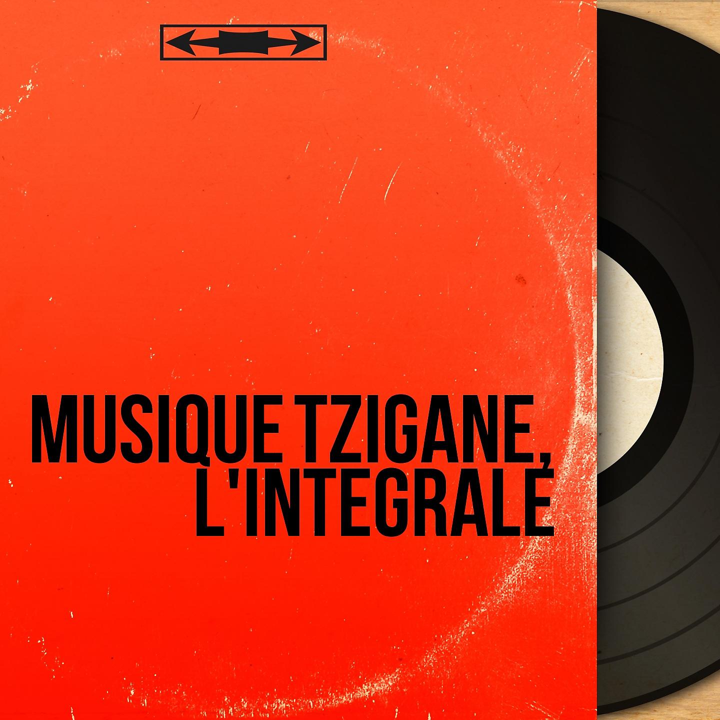 Постер альбома Musique tzigane, l'intégrale