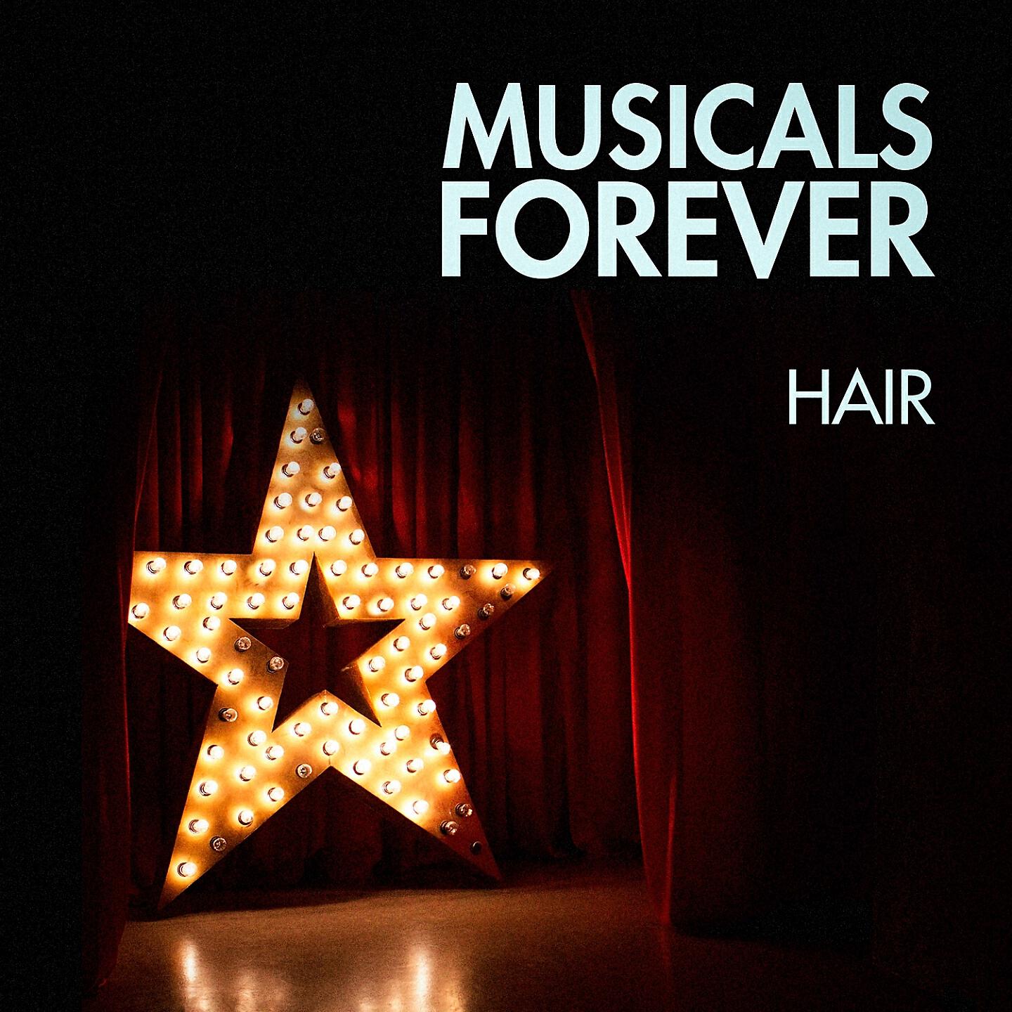 Broadway Musicals - Medley: Aquarius / Let the Sunshine in