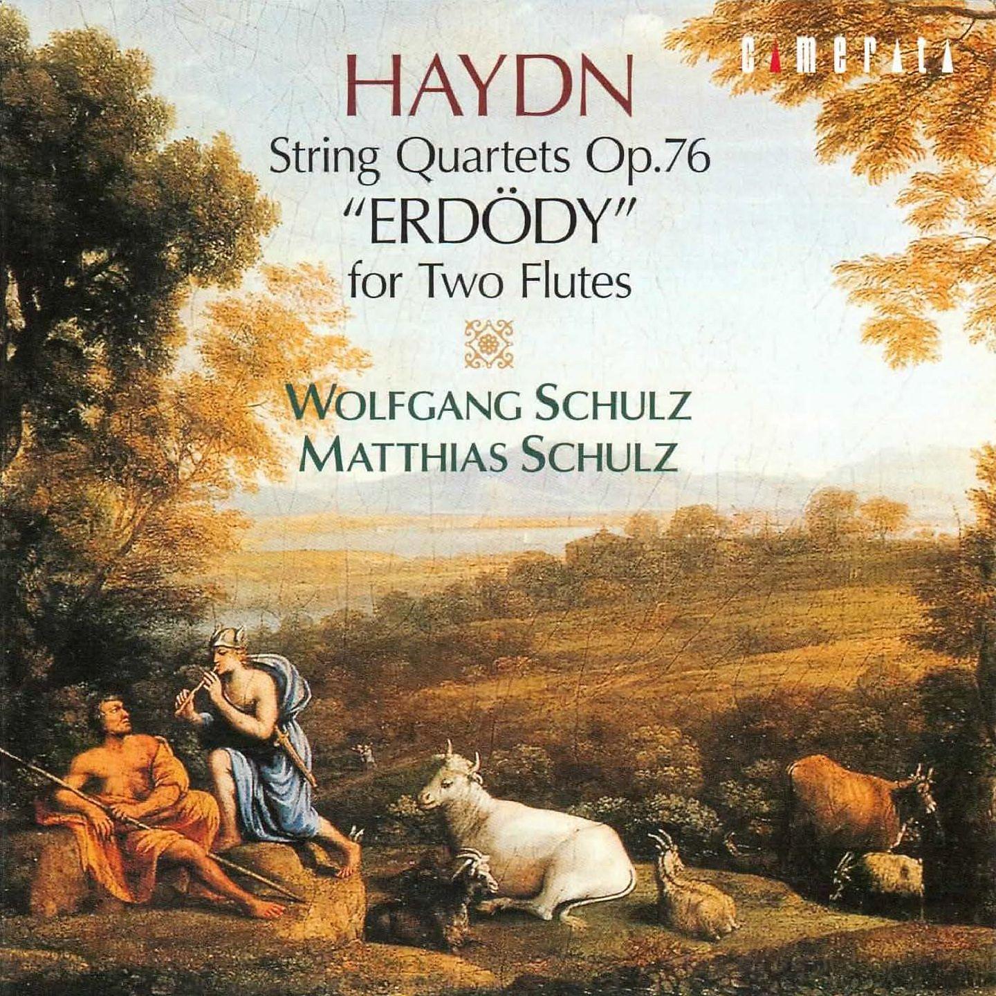 Постер альбома Haydn: String Quartets for Two Flutes
