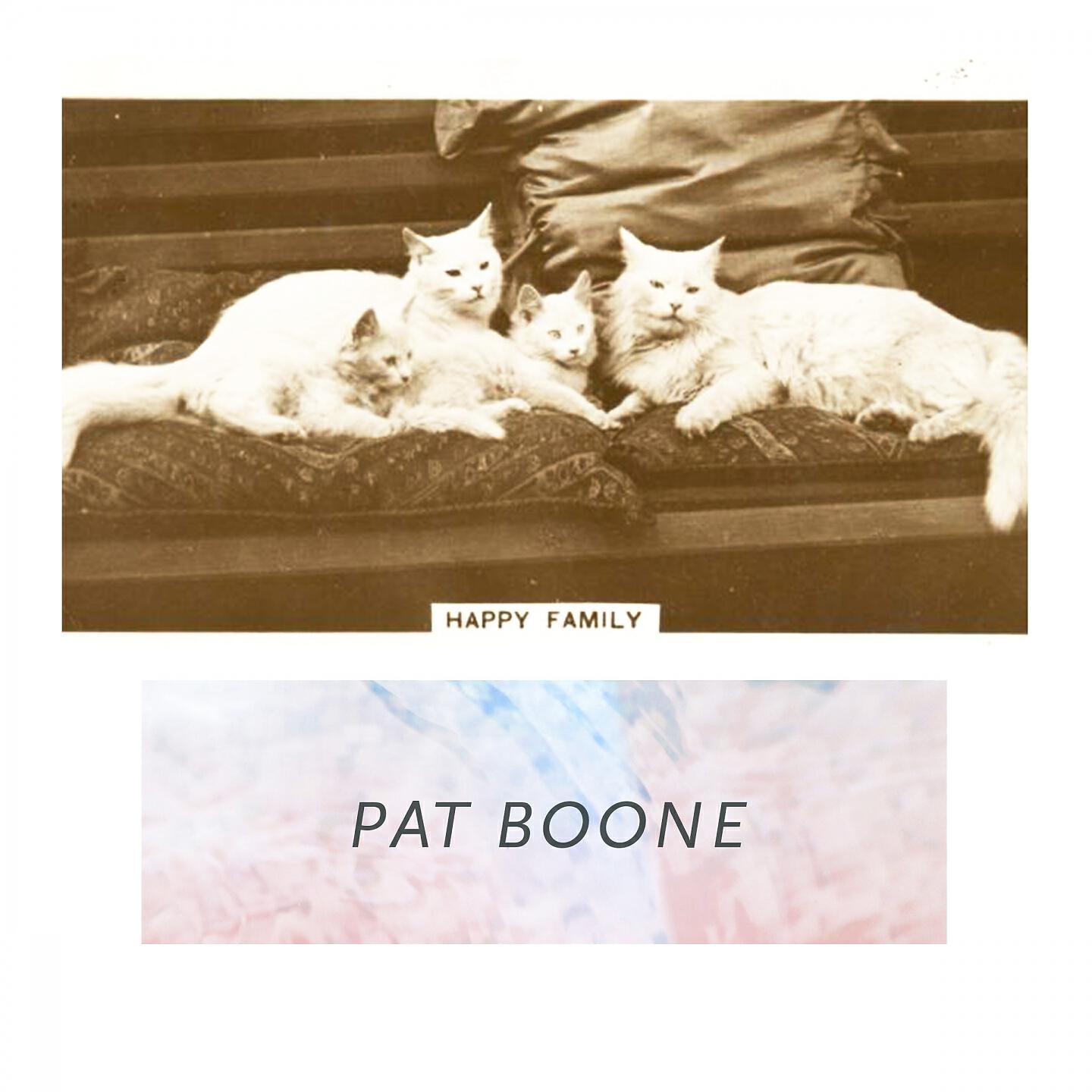 Pat Boone - Rich In Love