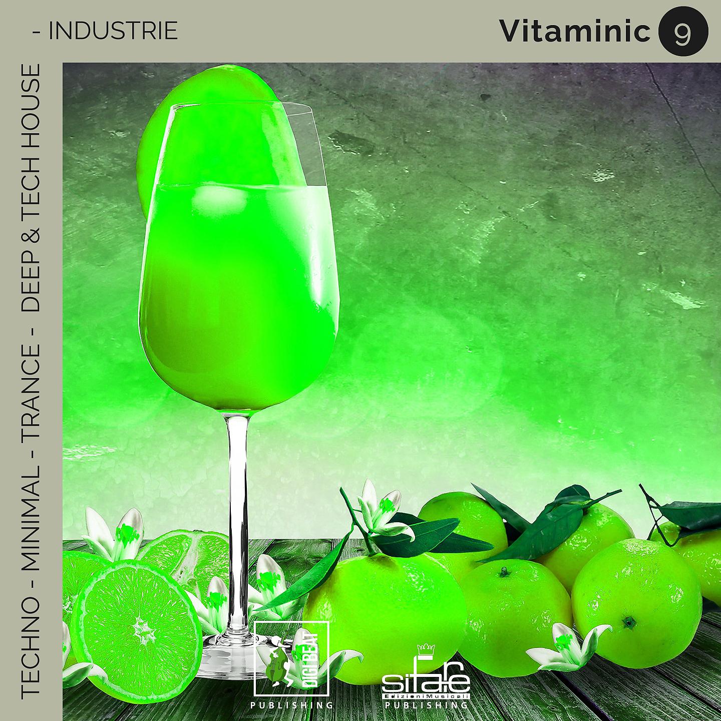 Постер альбома Vitaminic 9