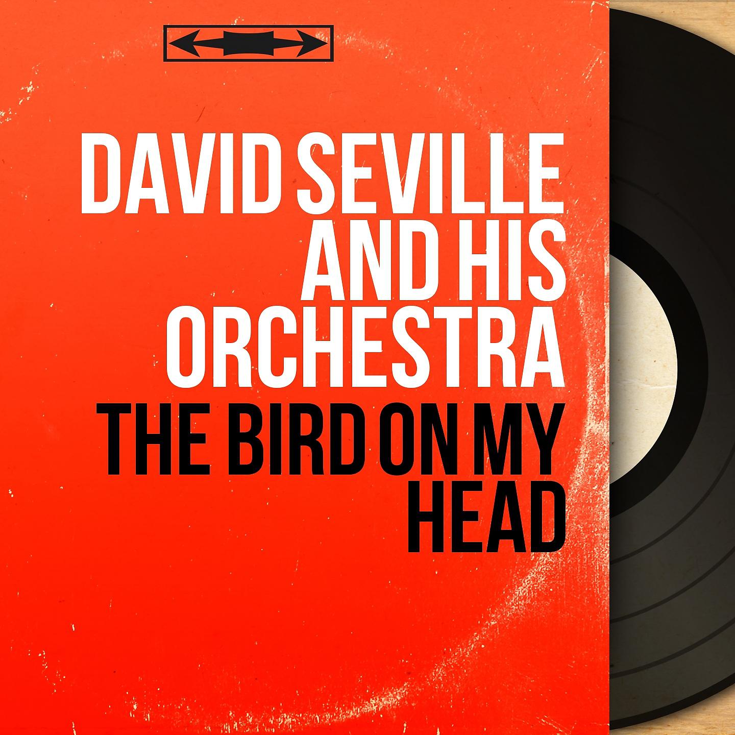 Постер альбома The Bird on My Head