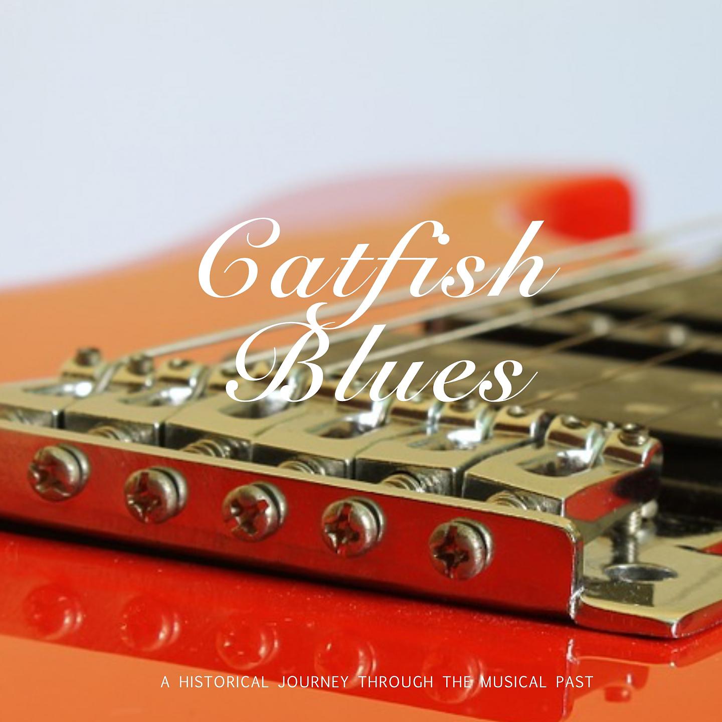 Постер альбома Catfish Blues