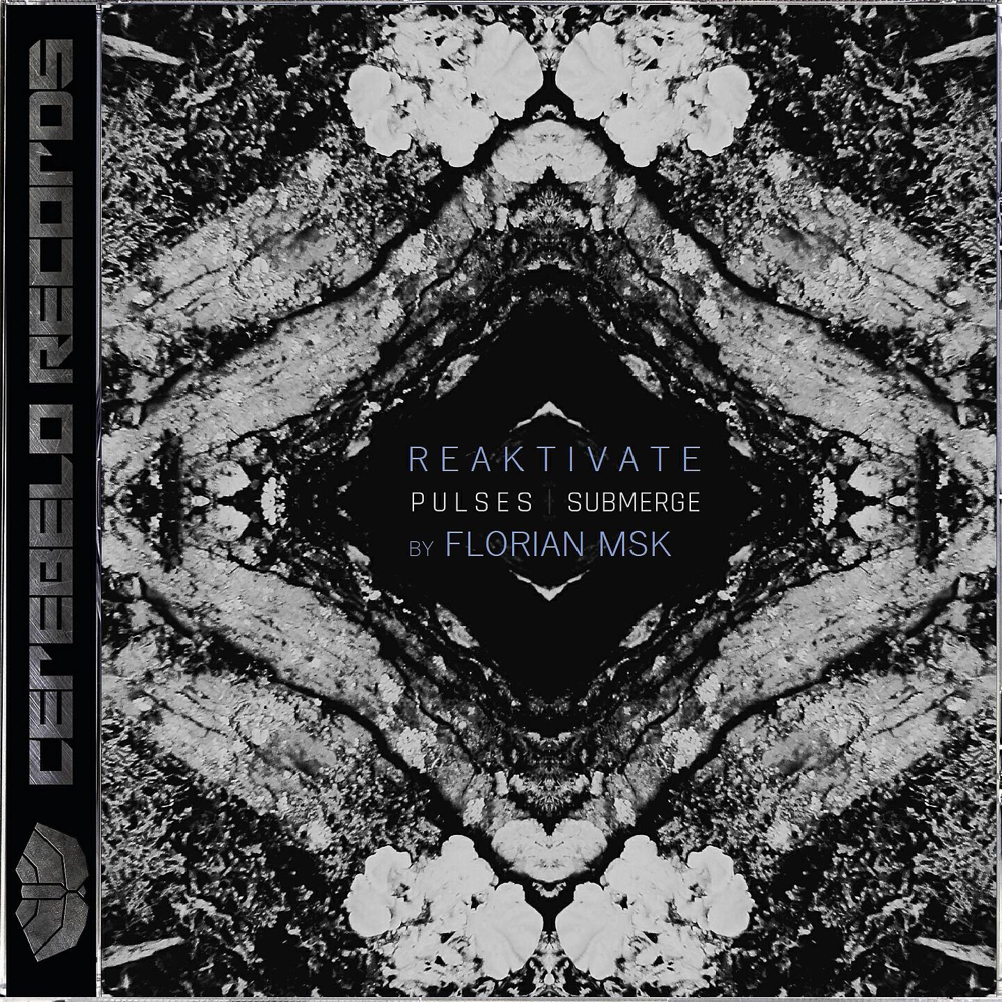 Pulses - Submerge (Florian MSK Remix)