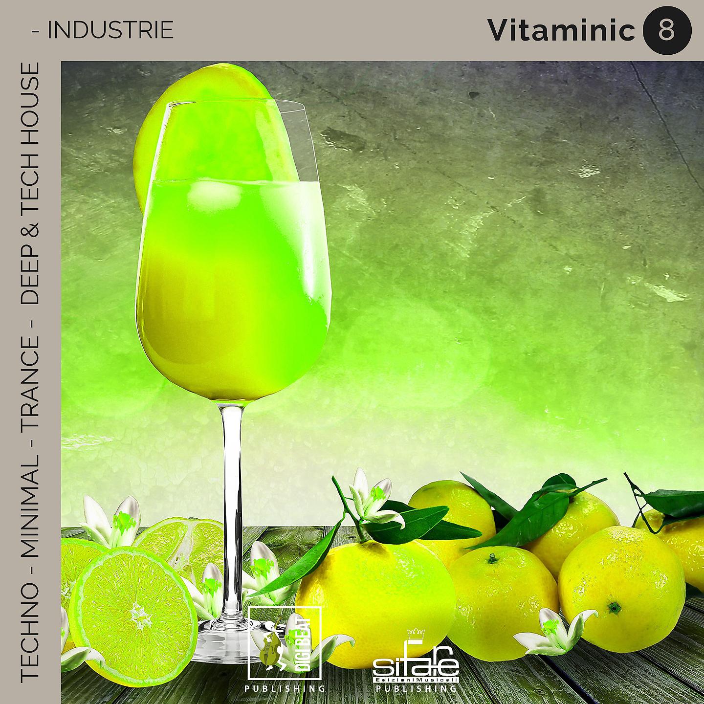 Постер альбома Vitaminic 8