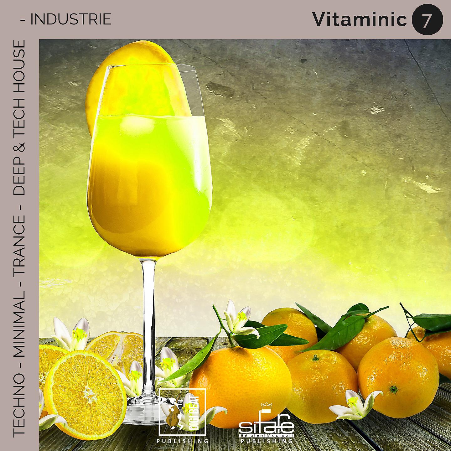Постер альбома Vitaminic 7