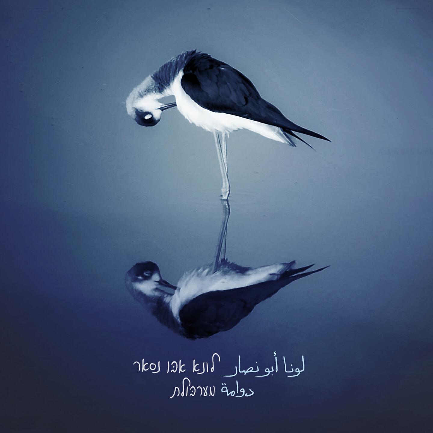 Luna Abu Nassar - Yom Min El-Ayaam