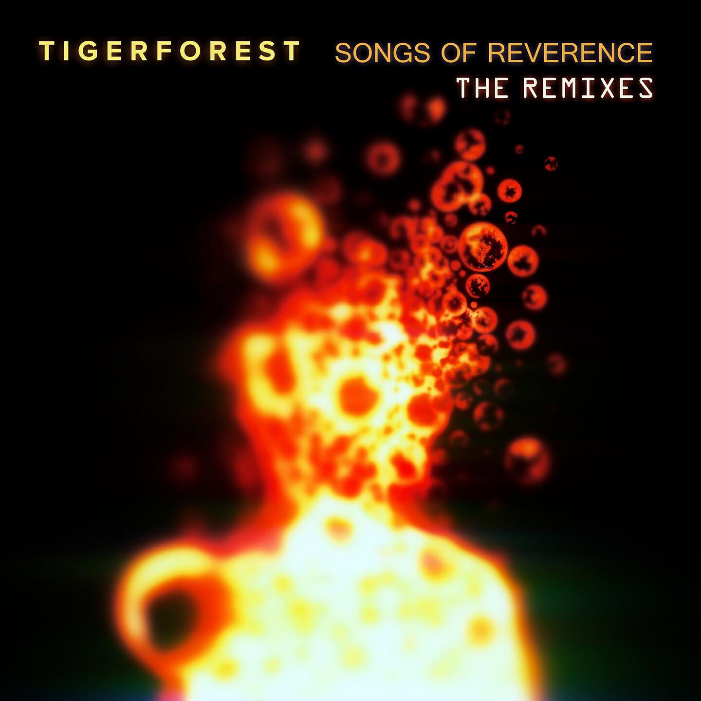 Tigerforest - Keep on Running (Data Rebel Remix)