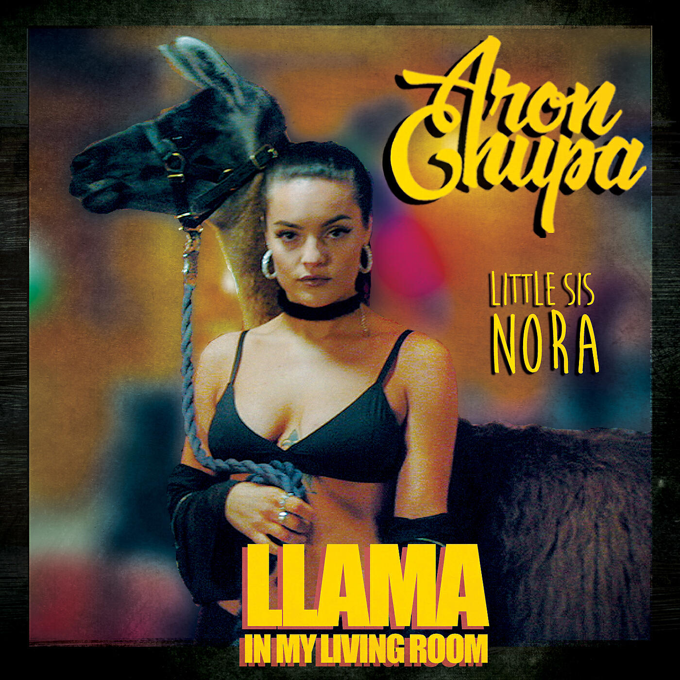 AronChupa - Llama In My Living Room