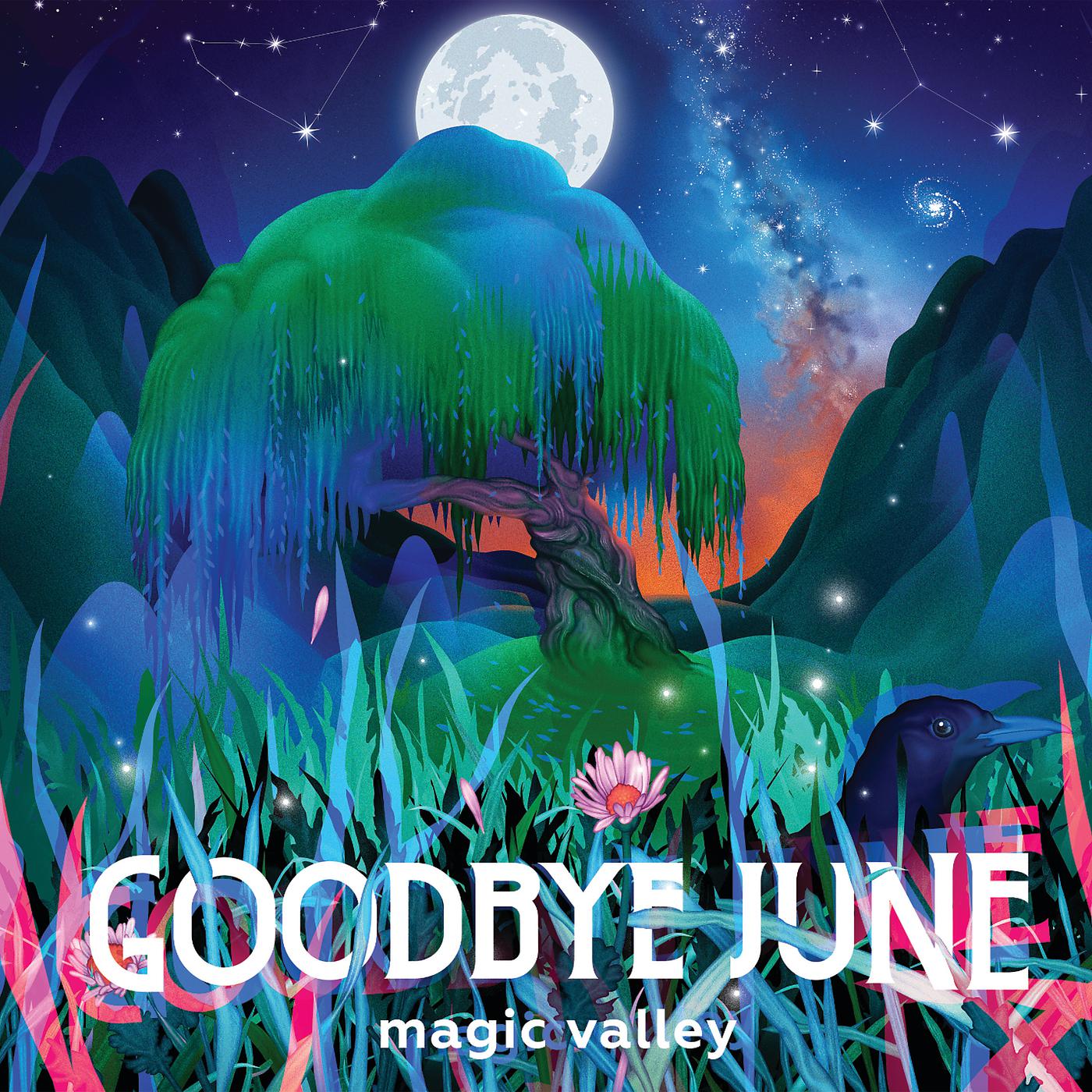 Постер альбома Magic Valley