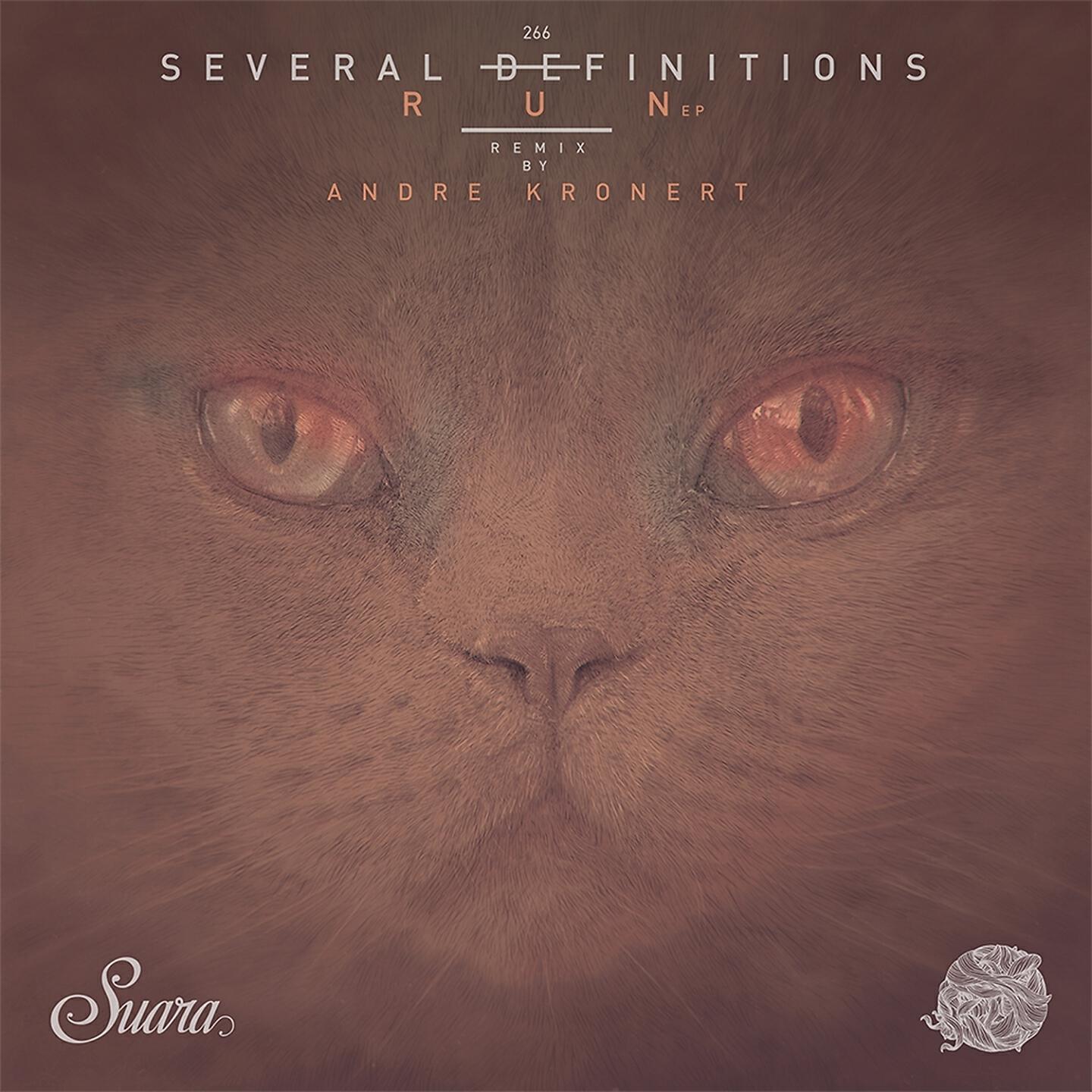 Several Definitions - Run (Original Mix)