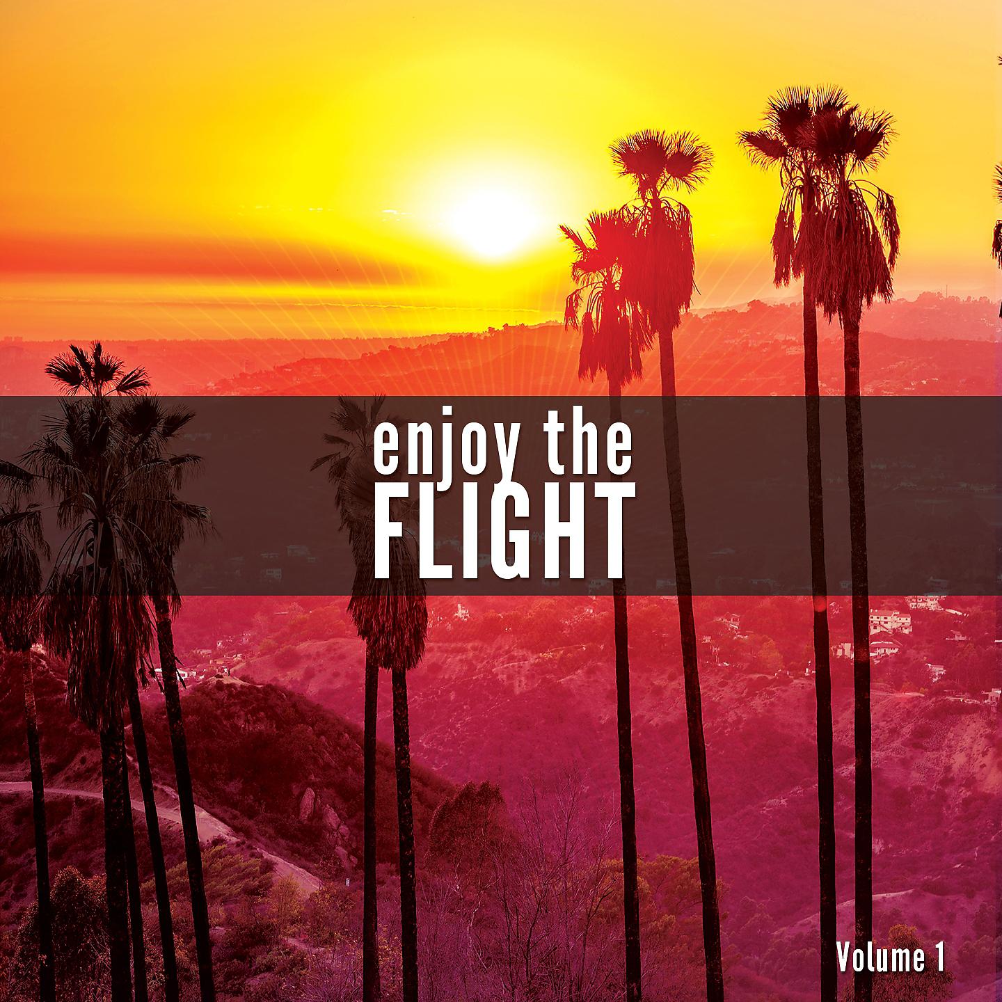 Постер альбома Enjoy The Flight, Vol. 1