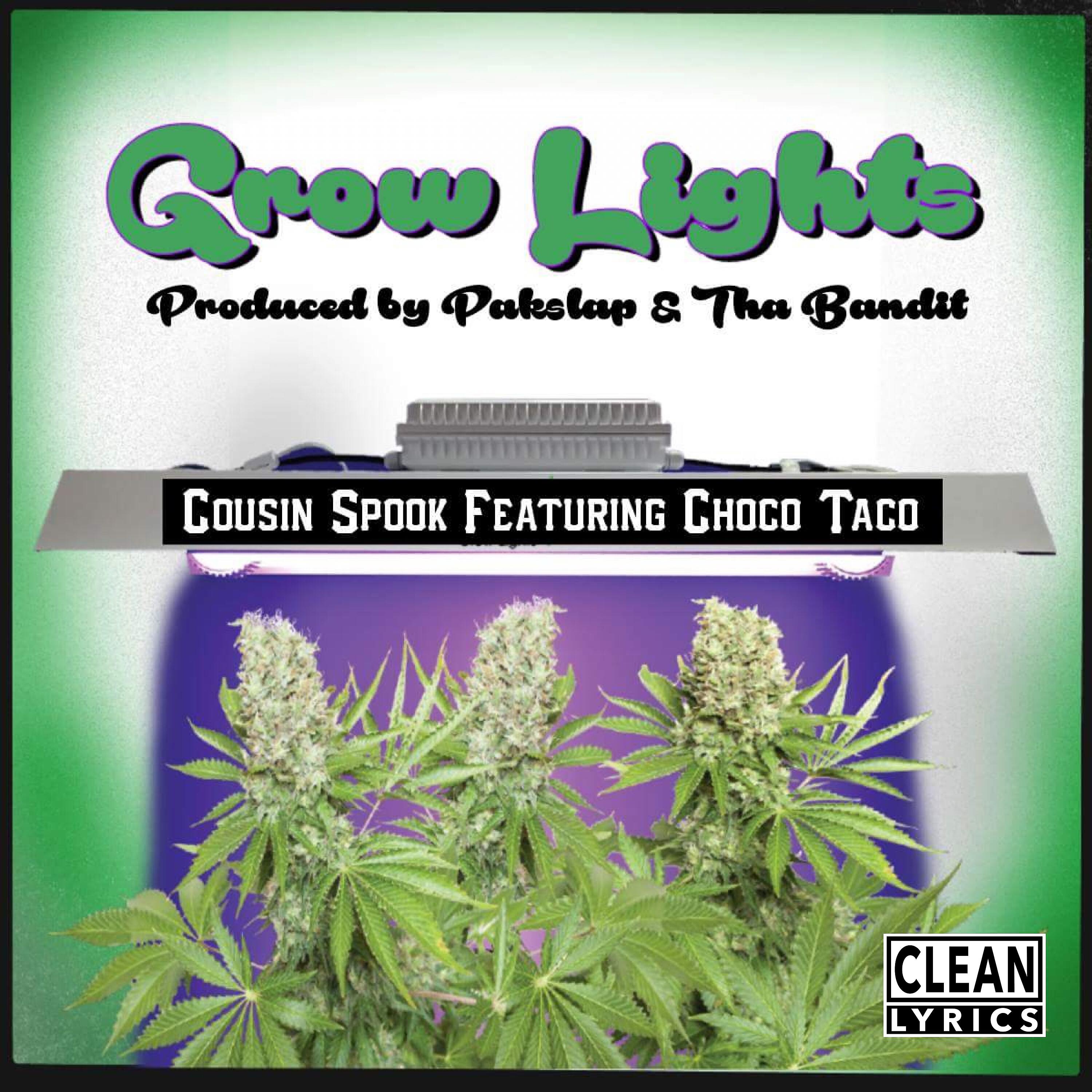 Cousin Spook - Grow Lights (feat. Choco Taco)
