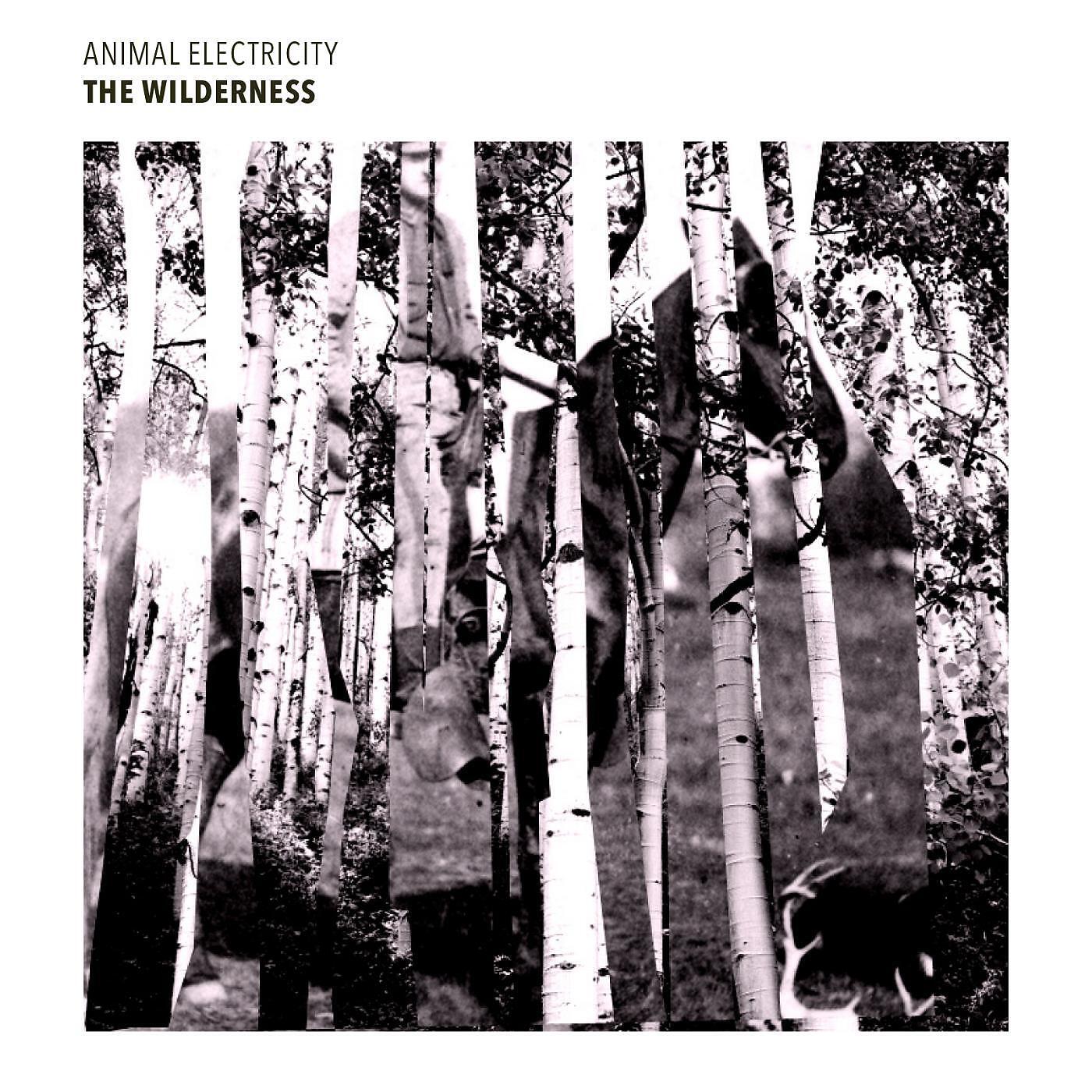Animal Electricity - House in the Hills