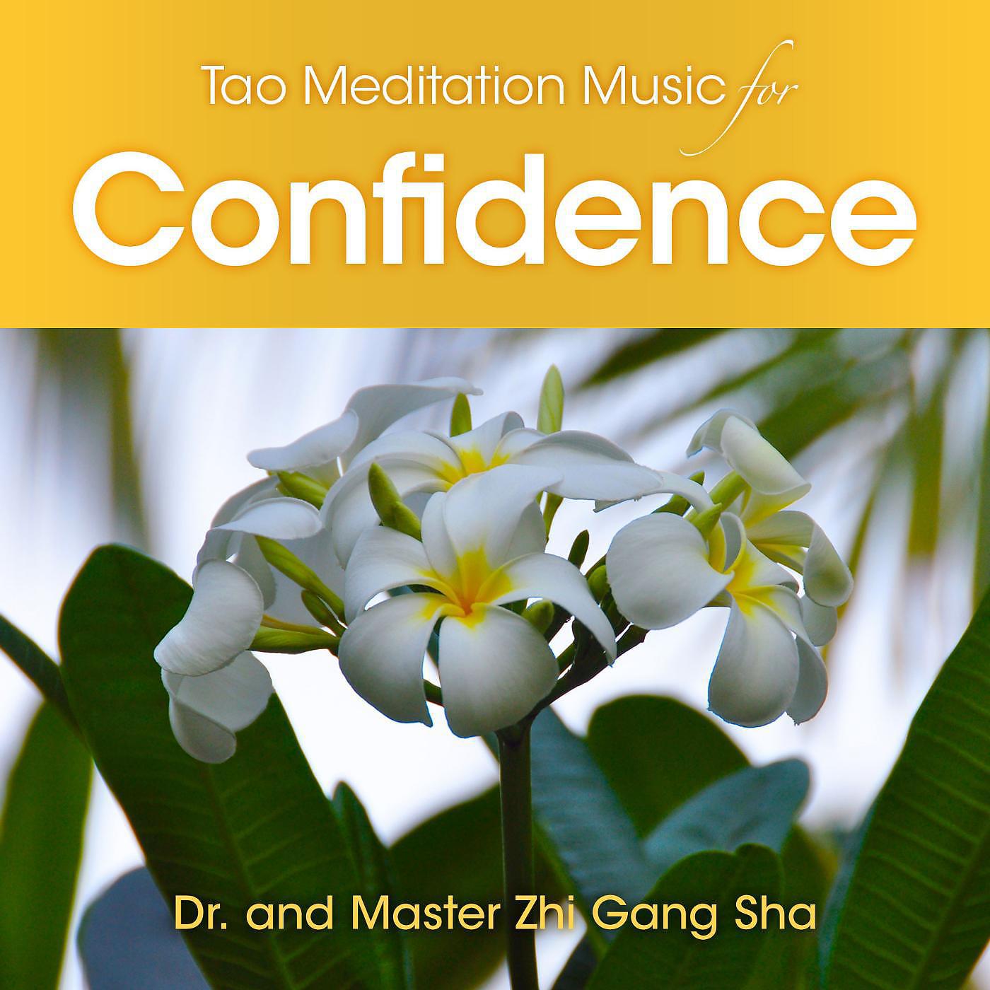 Постер альбома Tao Meditation Music for Confidence
