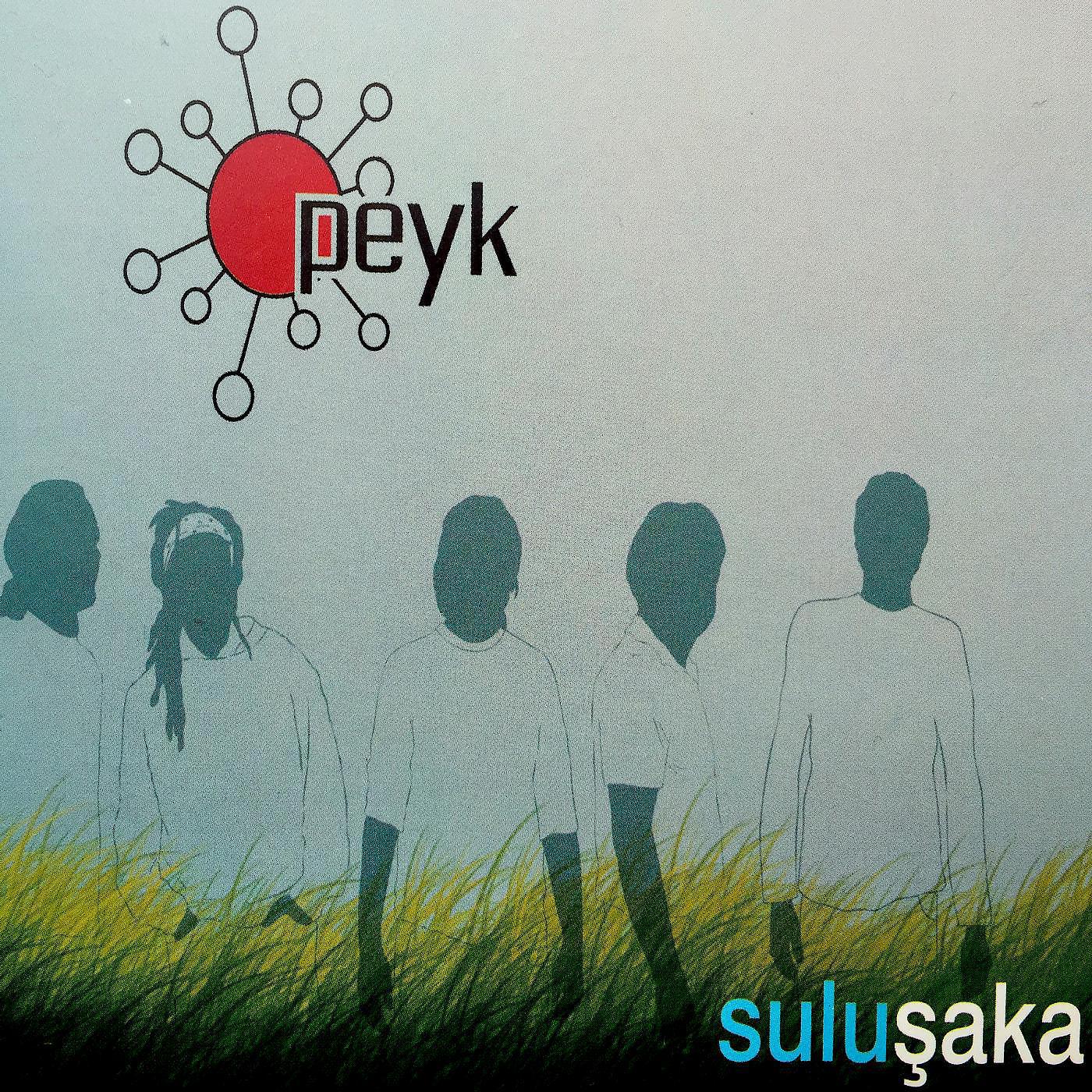 Постер альбома Suluşaka