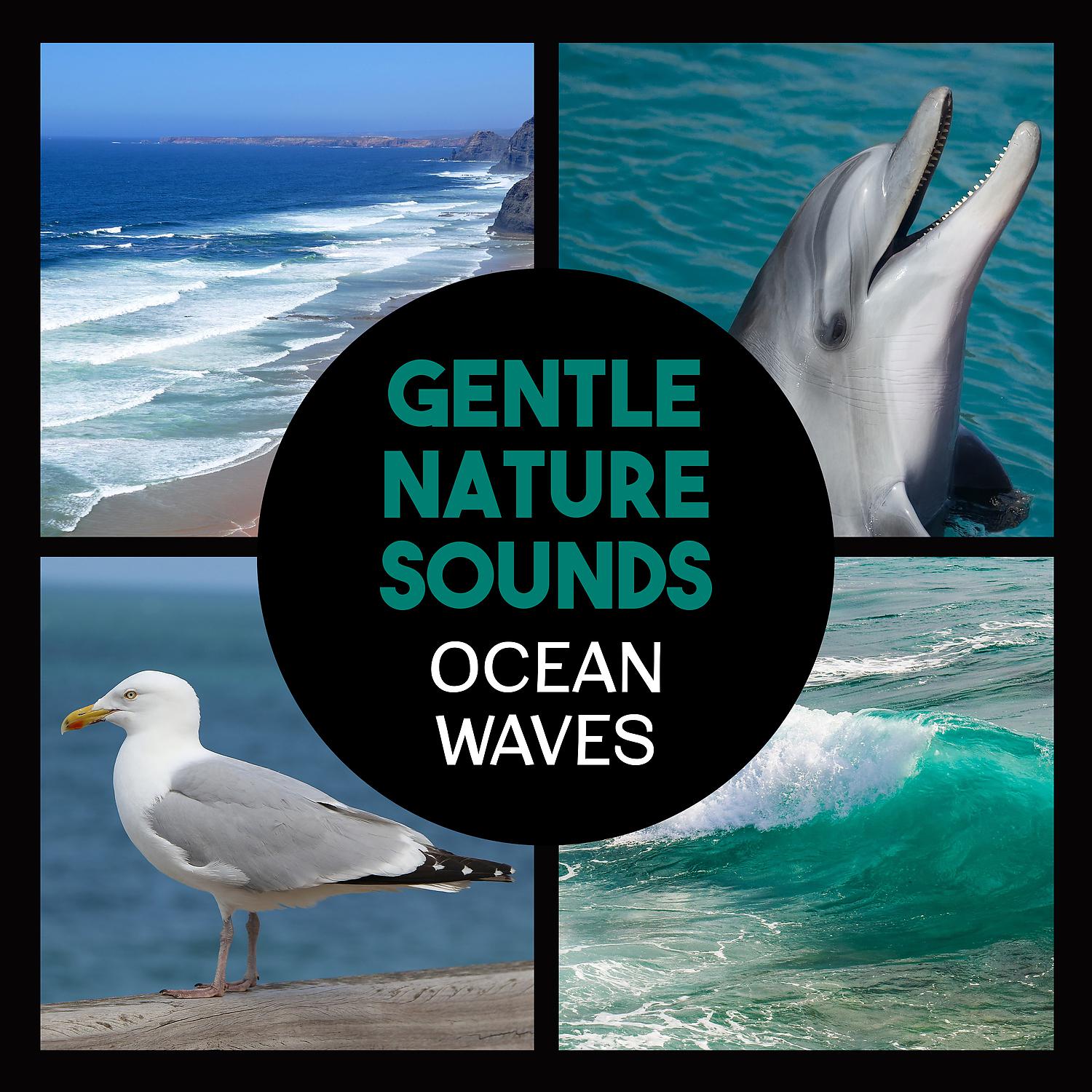 Постер альбома Gentle Nature Sounds – Ocean Waves, Calming Music for Relaxation, Healing Waters, Deep Sleep, Yoga, Zazen Meditation