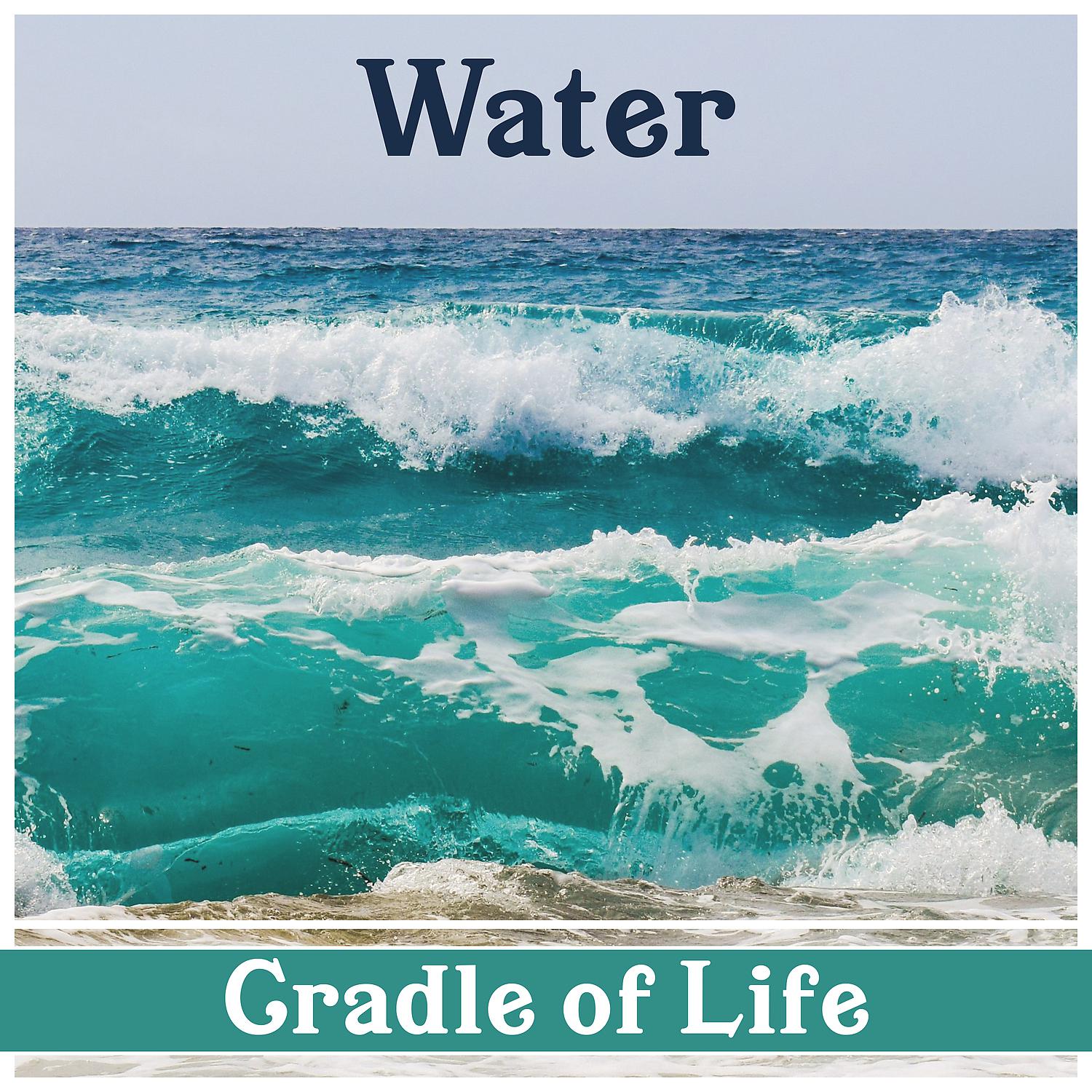 Постер альбома Water: Cradle of Life – Natural Water Ambient, Sounds of Nature, Soothing Atmosphere, Melodies for Relax and Meditation, Inner Discover