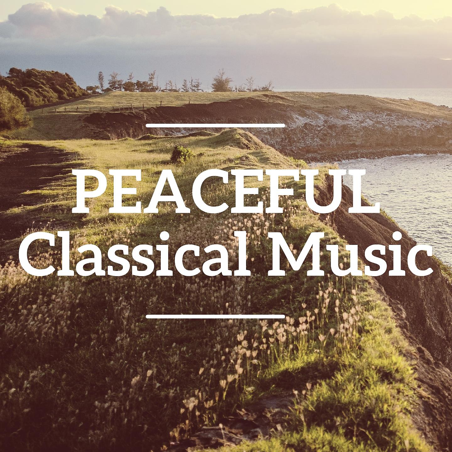 Постер альбома Peaceful Classical Music