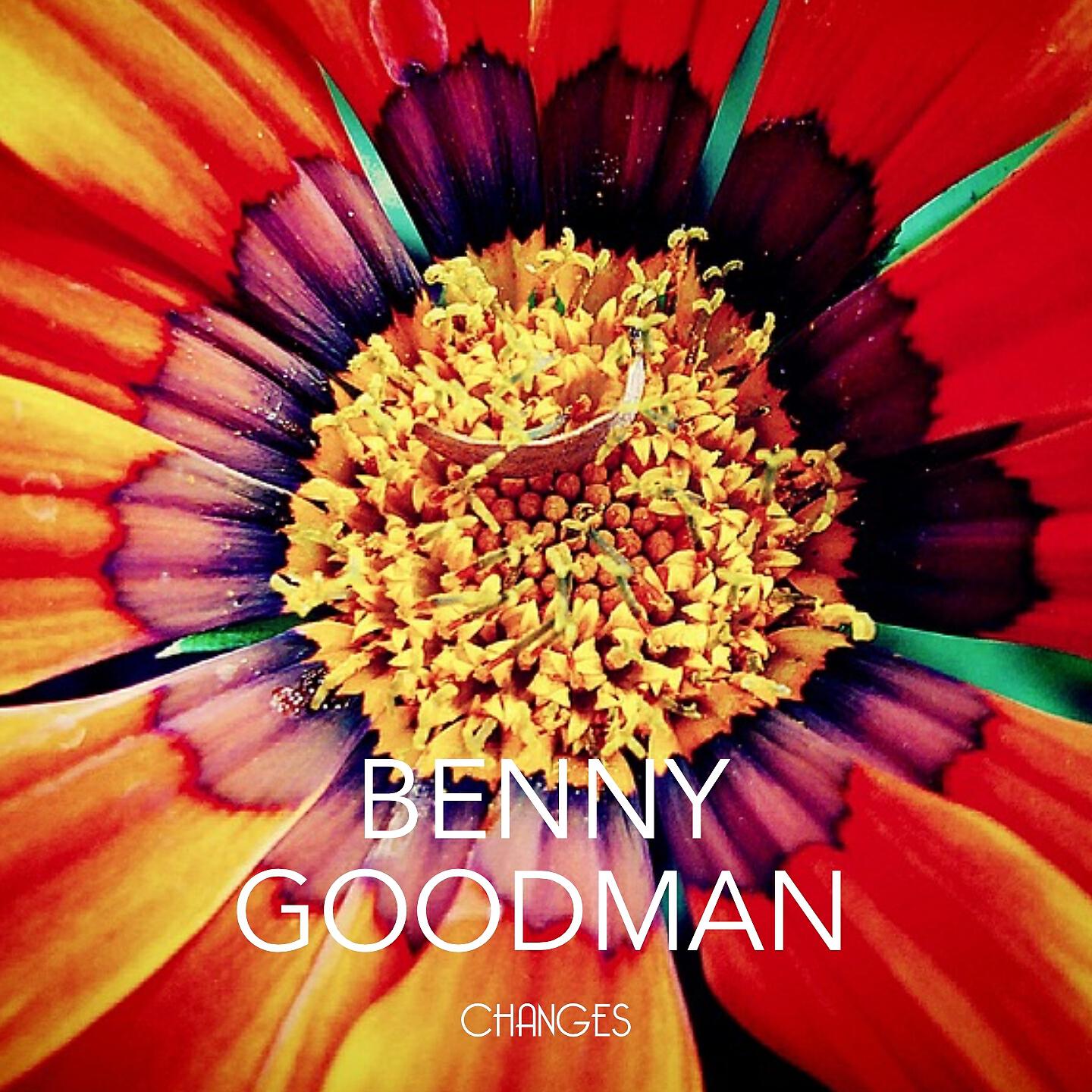 Benny Goodman - Down South amp Meeting