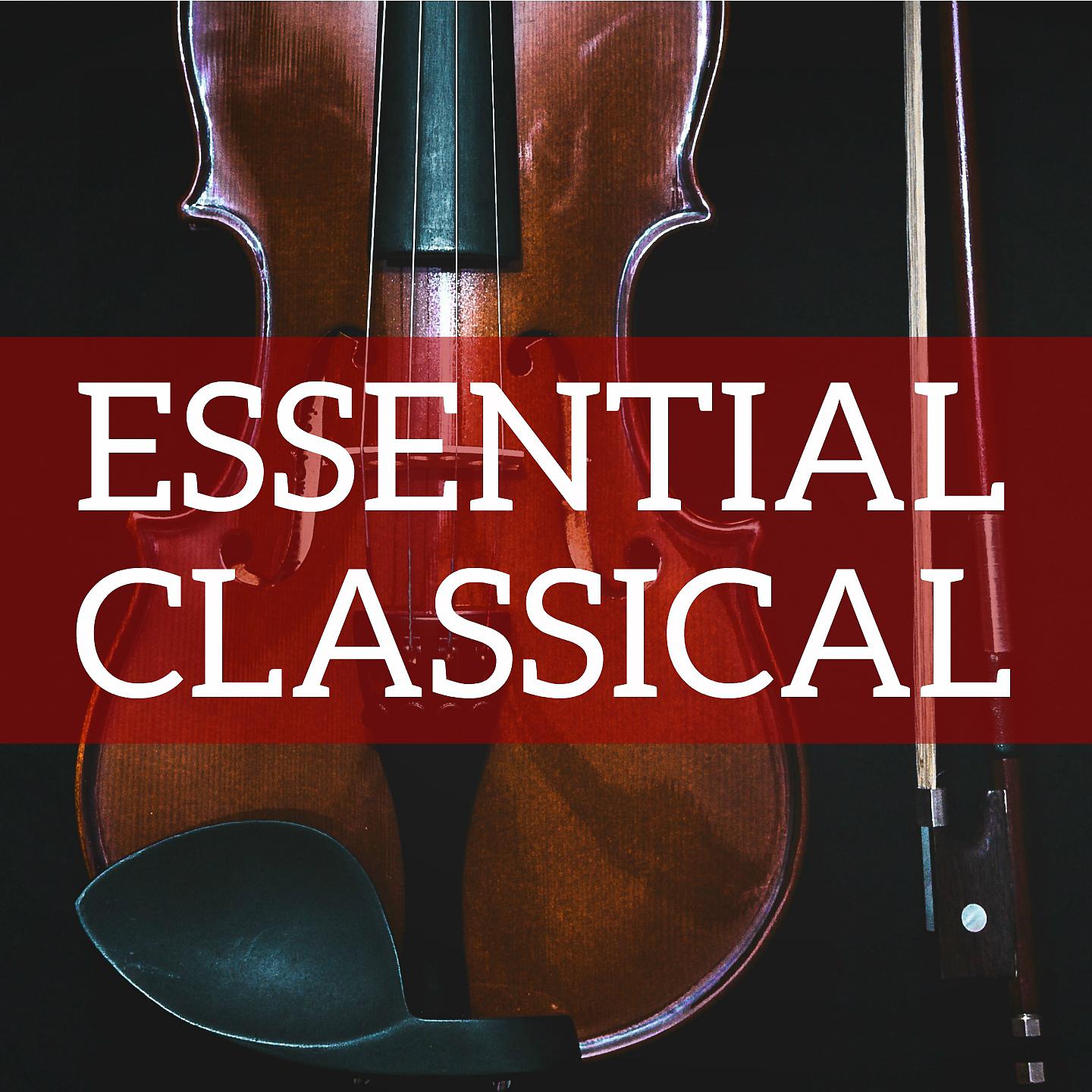 Постер альбома Essential Classical