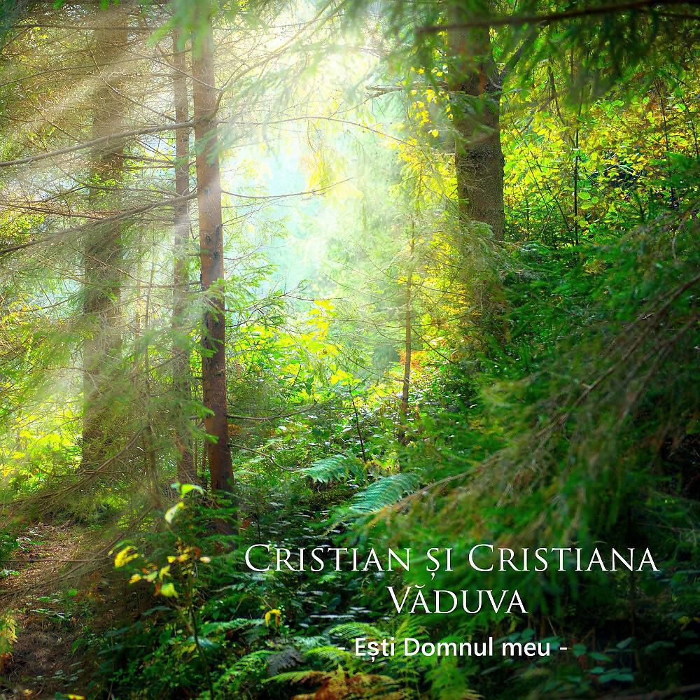 Cristian și Cristiana Văduva - Dorul de Tine, Isus