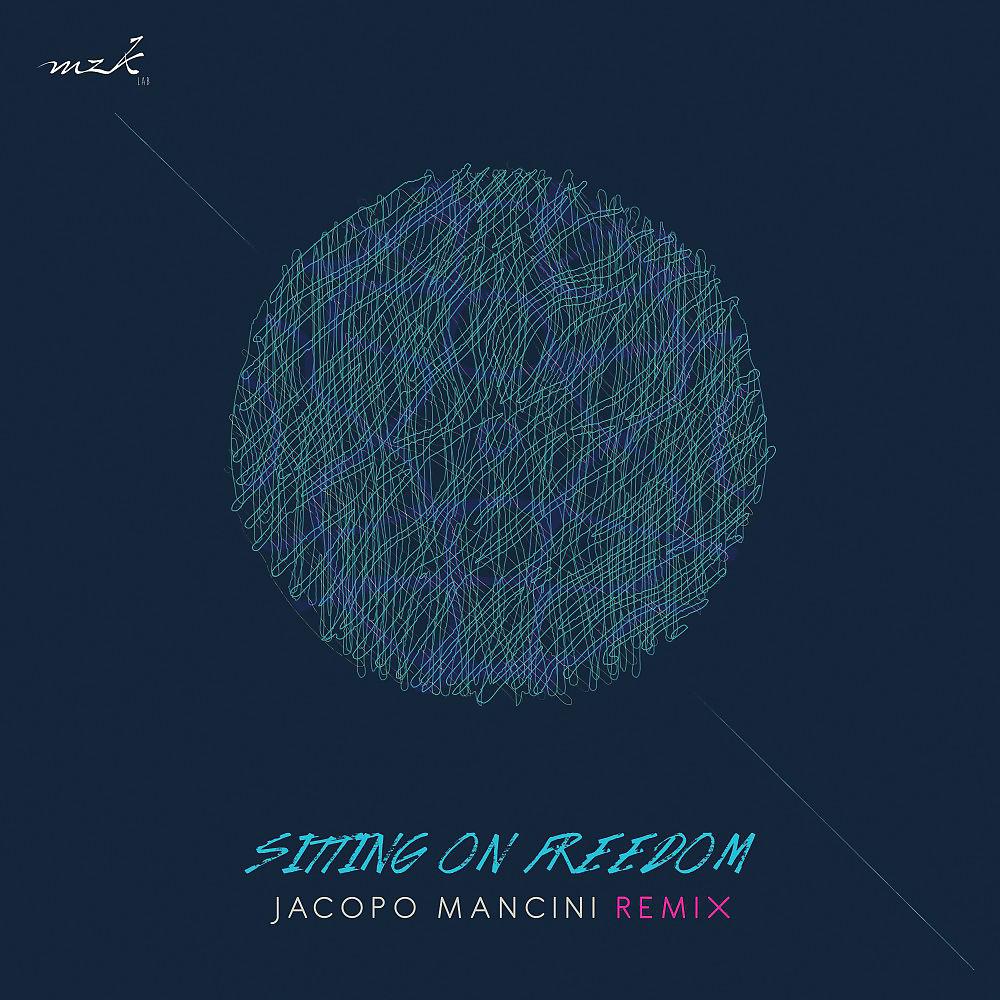 Постер альбома Sitting on Freedom (Remix)