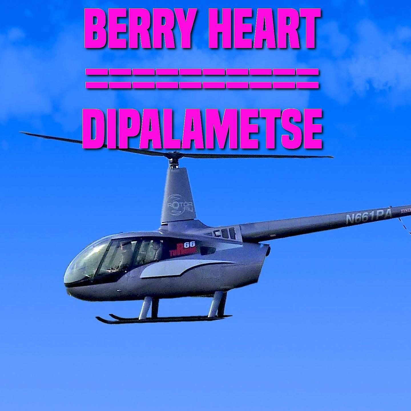 Постер альбома Dipalametse