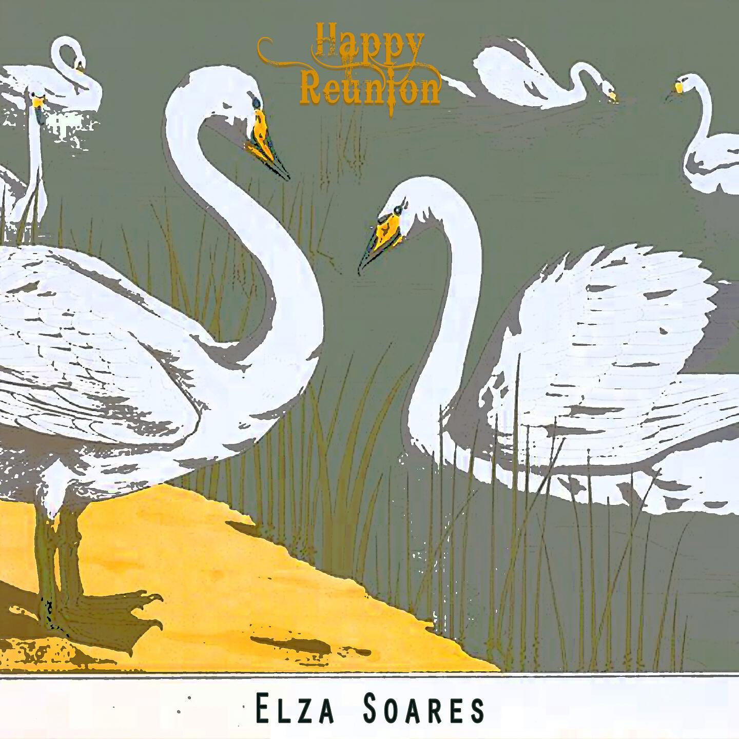 Elza Soares - A Banca Do Distinto