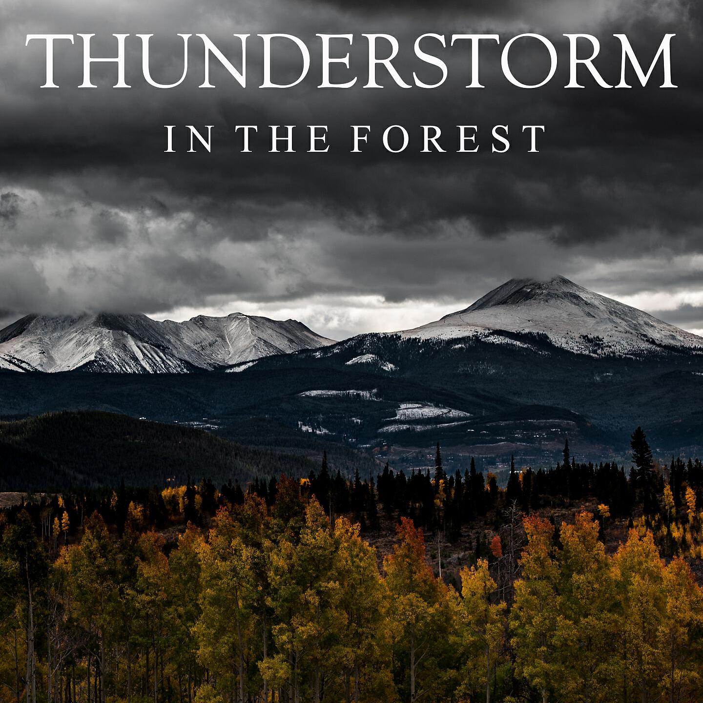 Thunderstorm Global Project from TraxLab - Rainstorm in the Woods (Part 25)