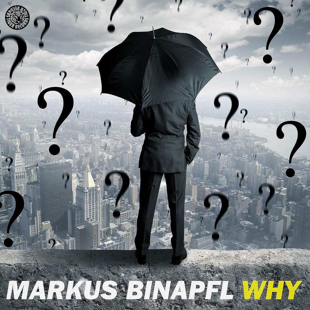 Markus Binapfl - Why (Original Mix)