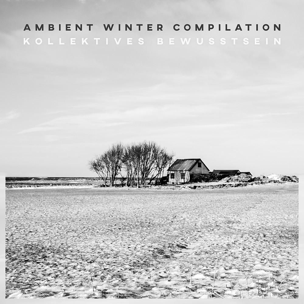 Постер альбома Kollektives Bewusstsein: Ambient Winter Compilation