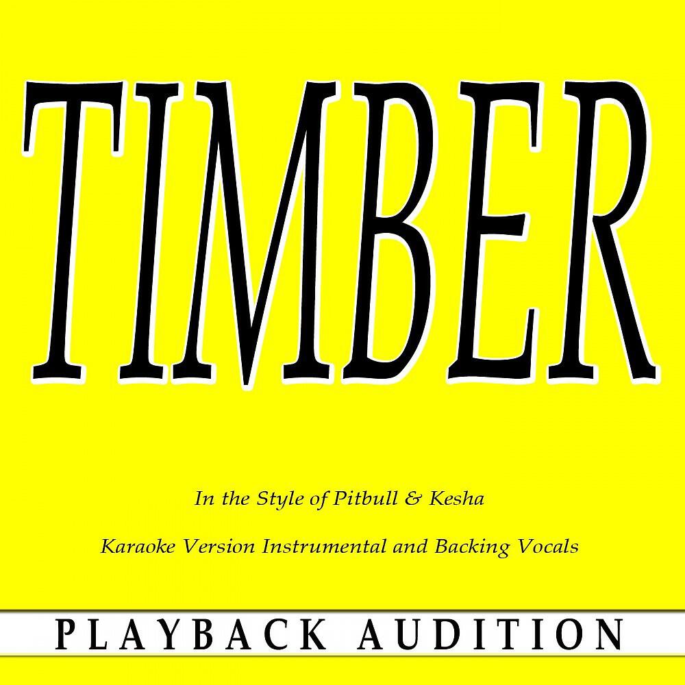 Playback Audition - Timber (In the Style of Pitbull & Kesha) [Karaoke Version Instrumental]