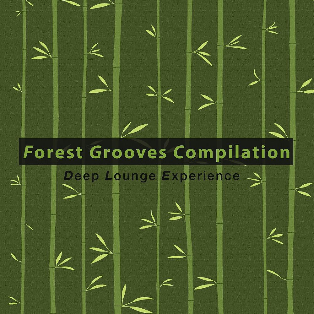 Постер альбома Forest Grooves Compilation: Deep Lounge Experience