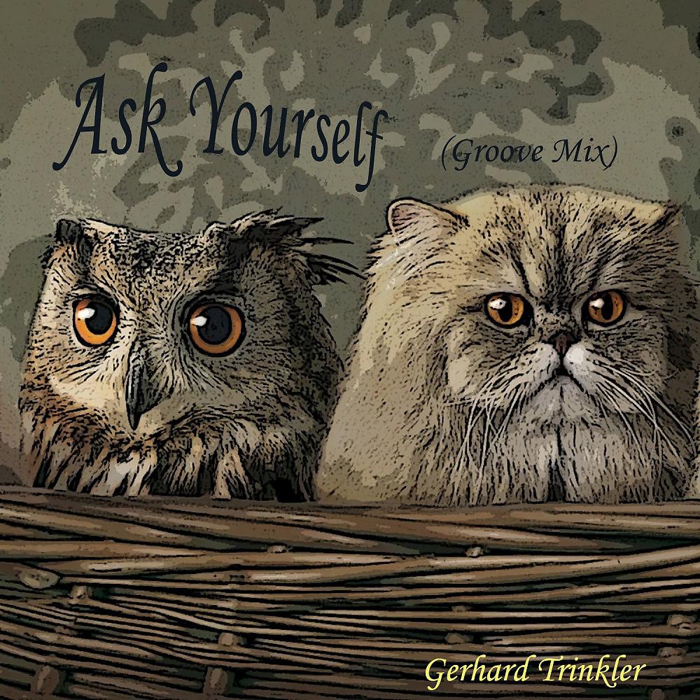 Постер альбома Ask Yourself (Groove Mix)