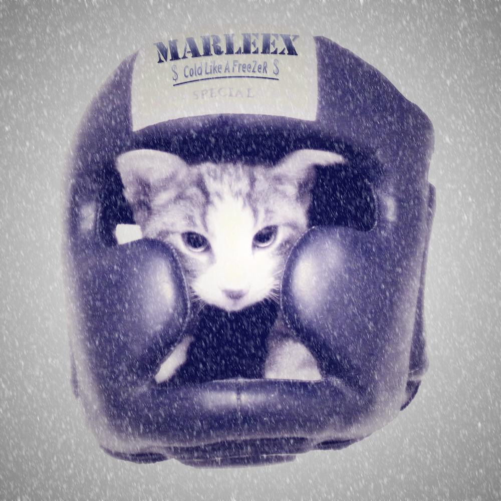 Marleex - Cold Like a Freezer