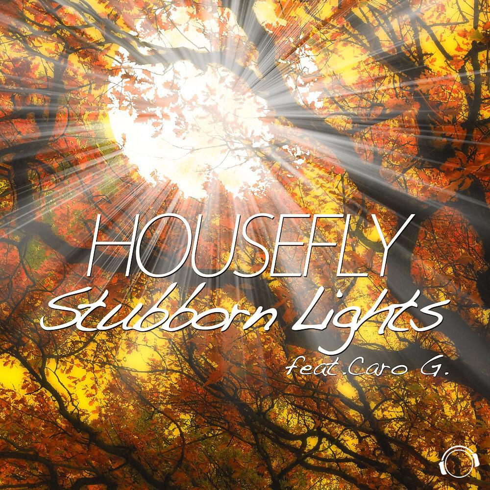 HouseFly - Stubborn Lights (Dale & Harms Remix)