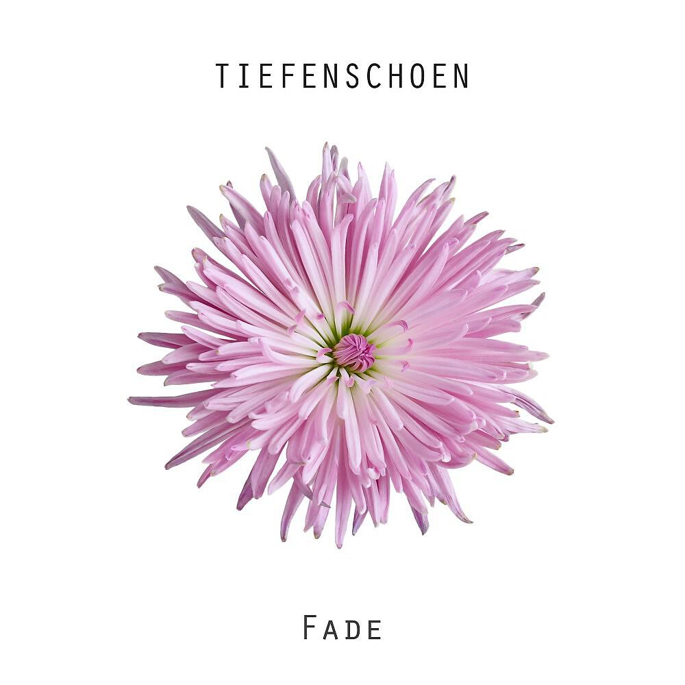 Tiefenschoen - Lower Your Eyelids