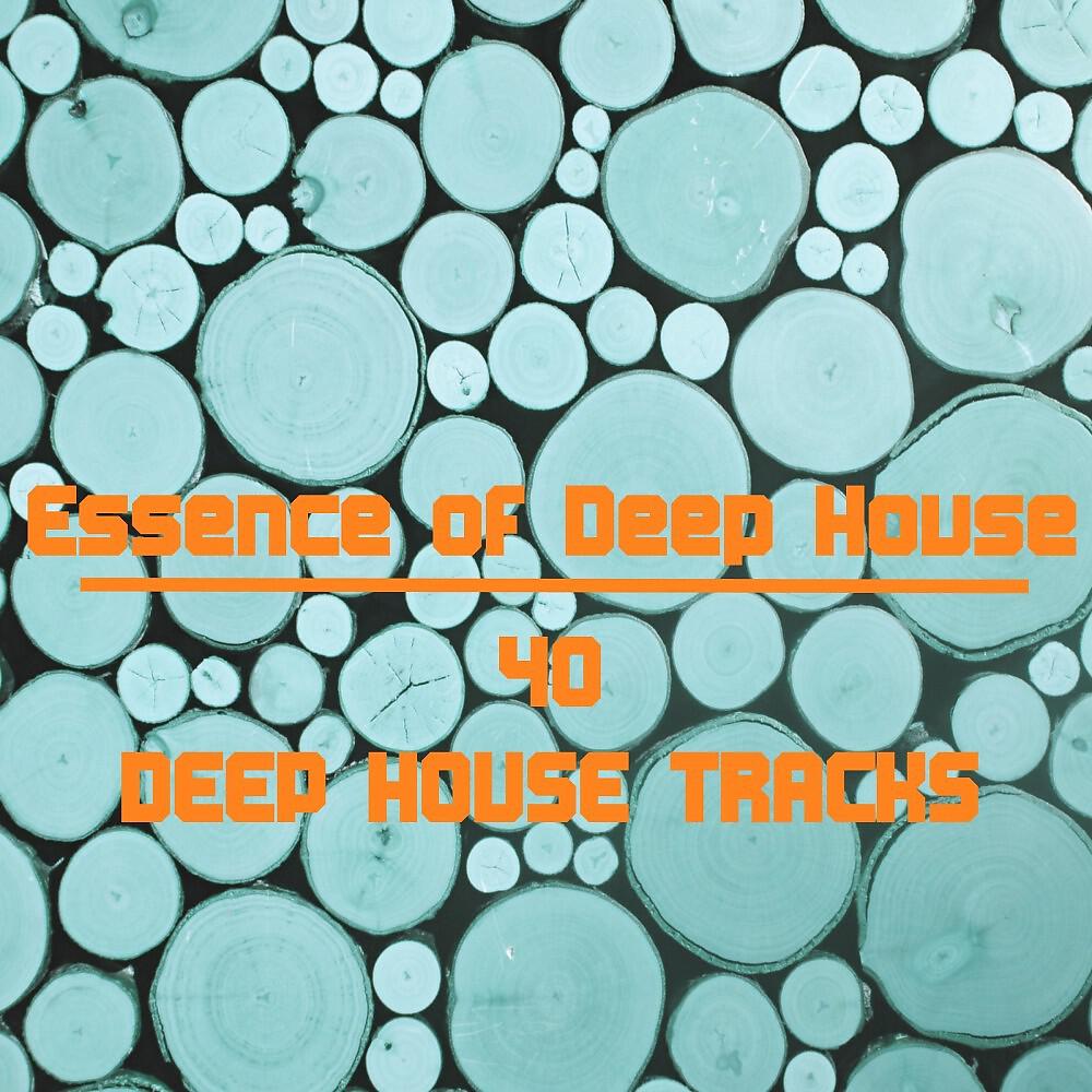 5th Groove - Night in Spring (Original Mix)
