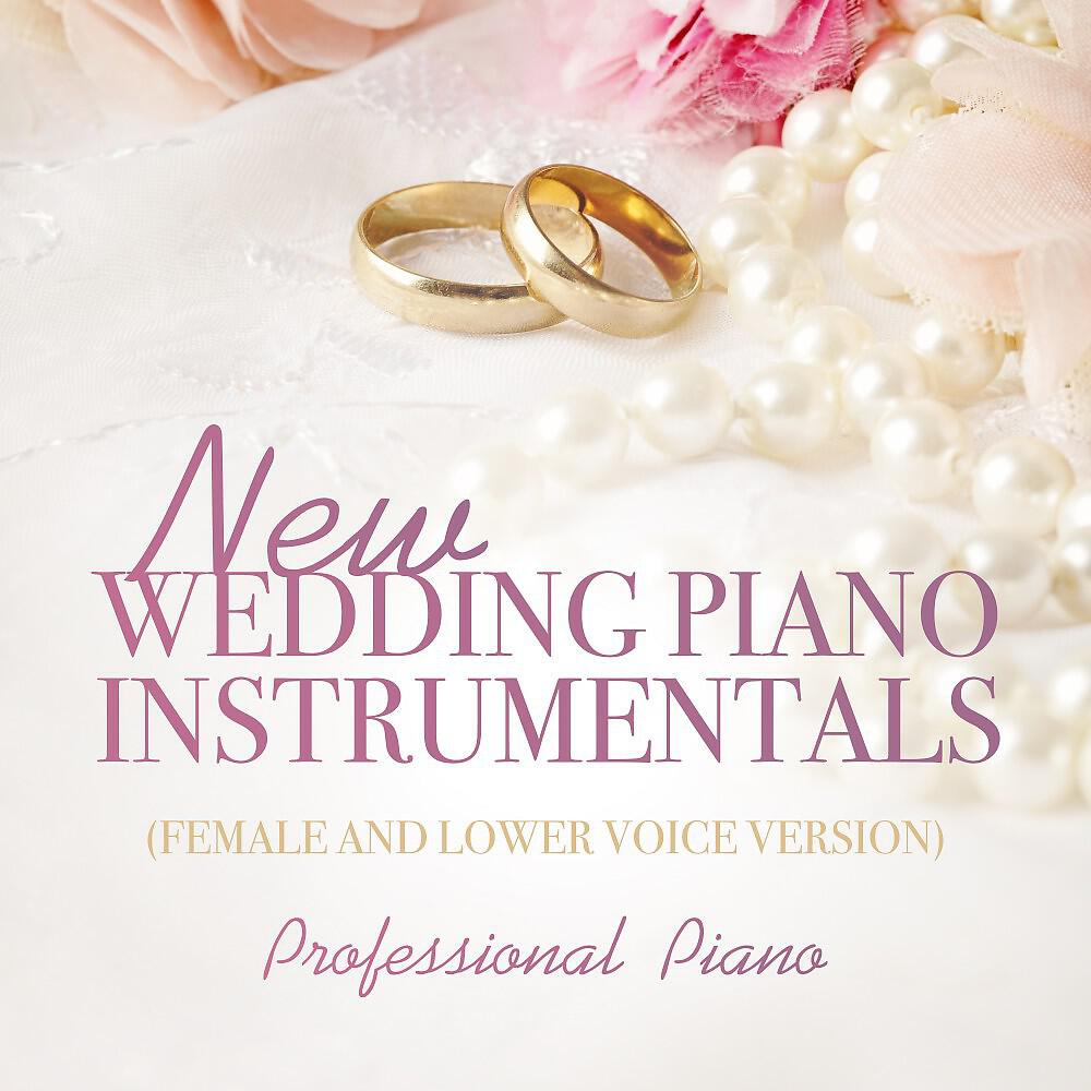Professional Piano - Hallelujah (Low Version Instrumental)